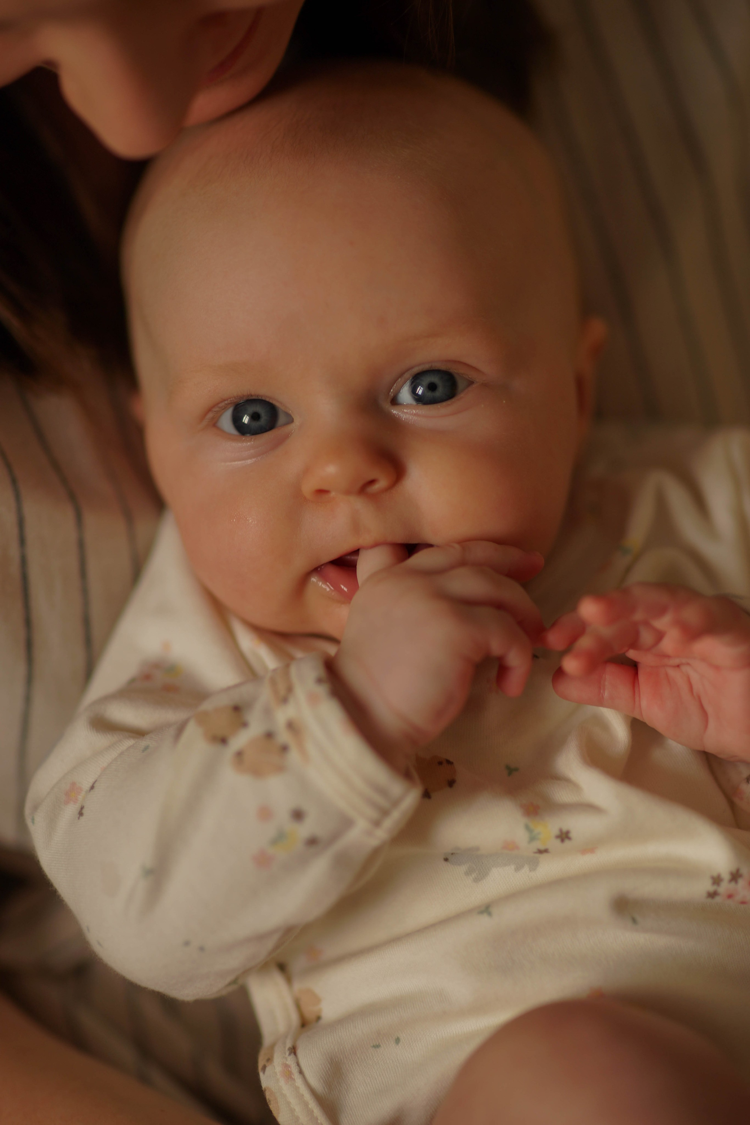 Семья Сабины. Семейный и детский фотограф Троицк Москва