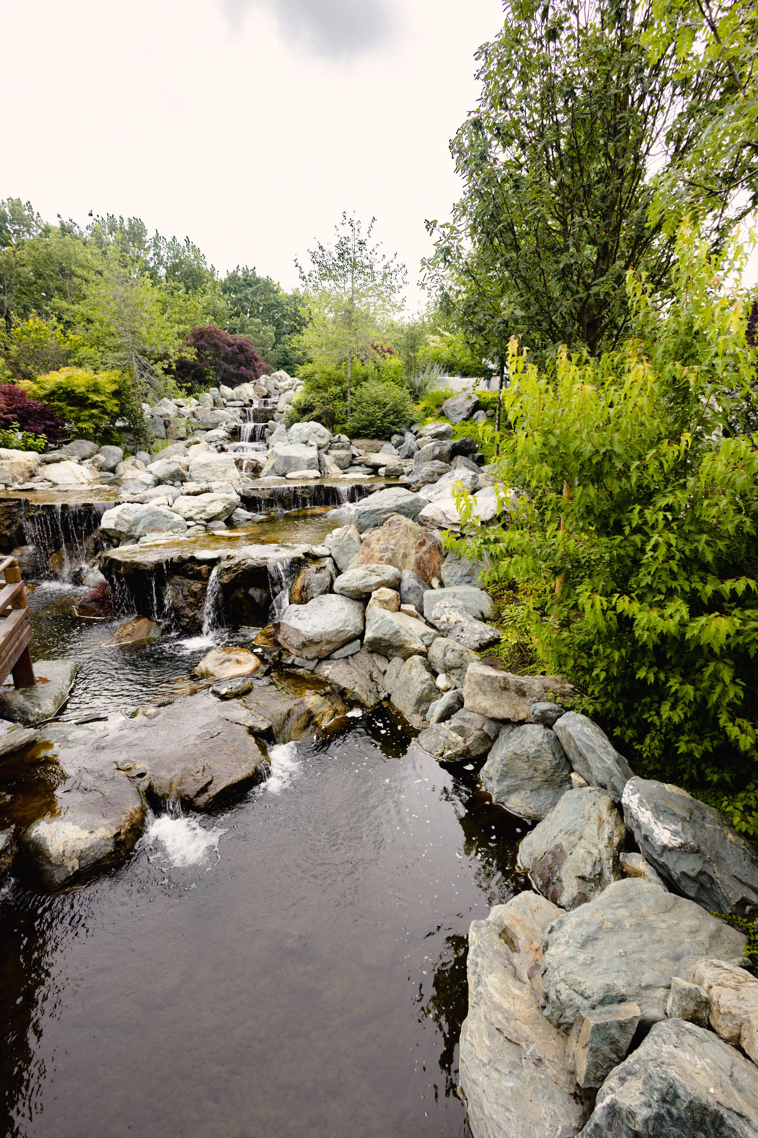 Японский сад в Краснодаре. Профессиональный фотограф и видеооператор