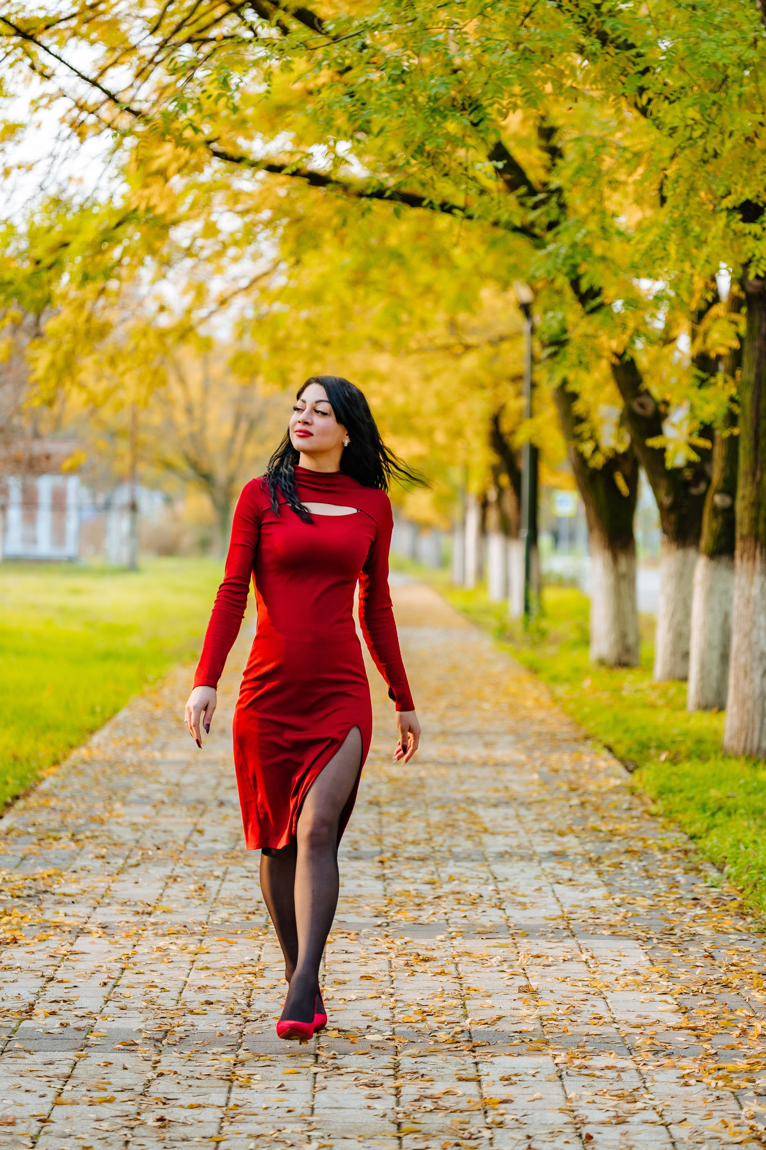 Осень. Профессиональный фотограф и видеооператор