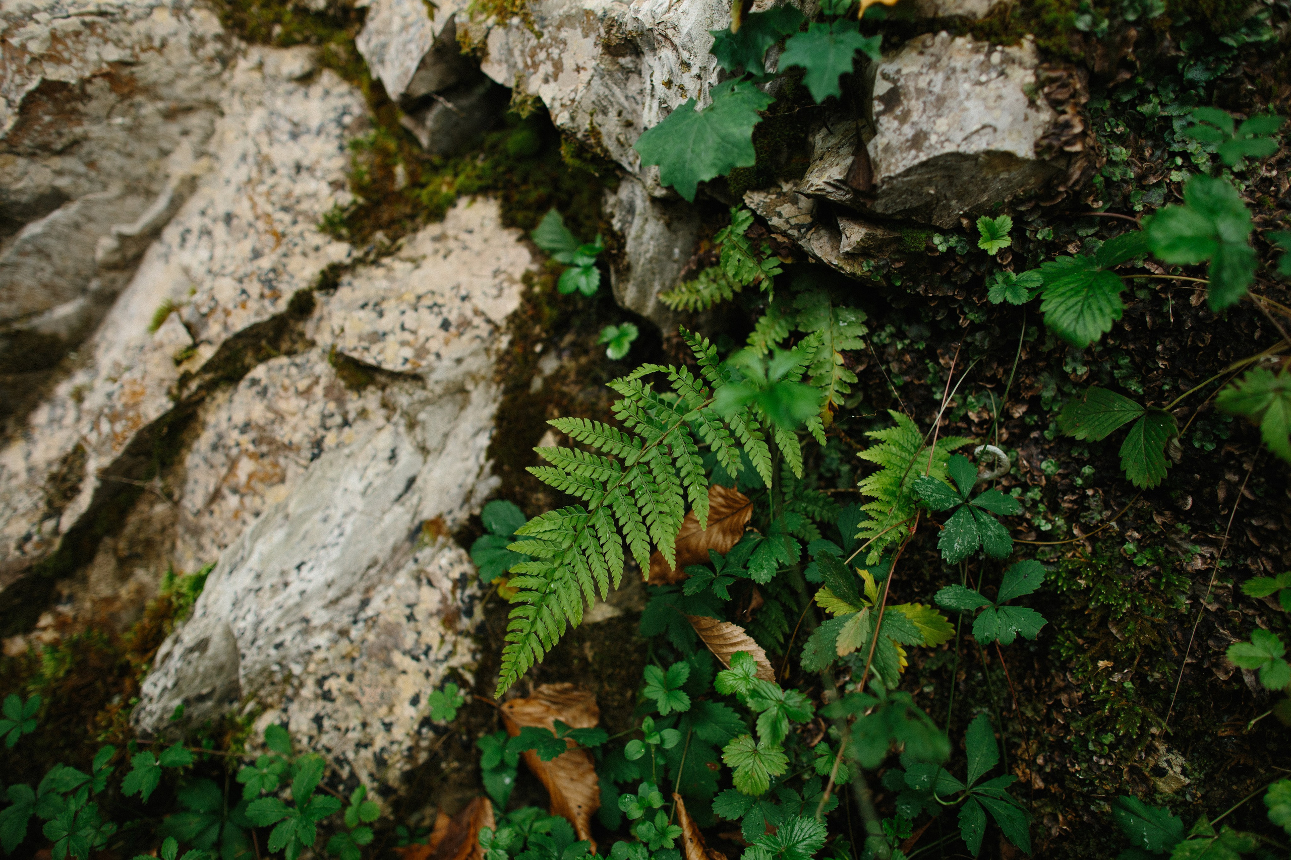 Оштенский Кордон. Семейный фотограф в Белгороде