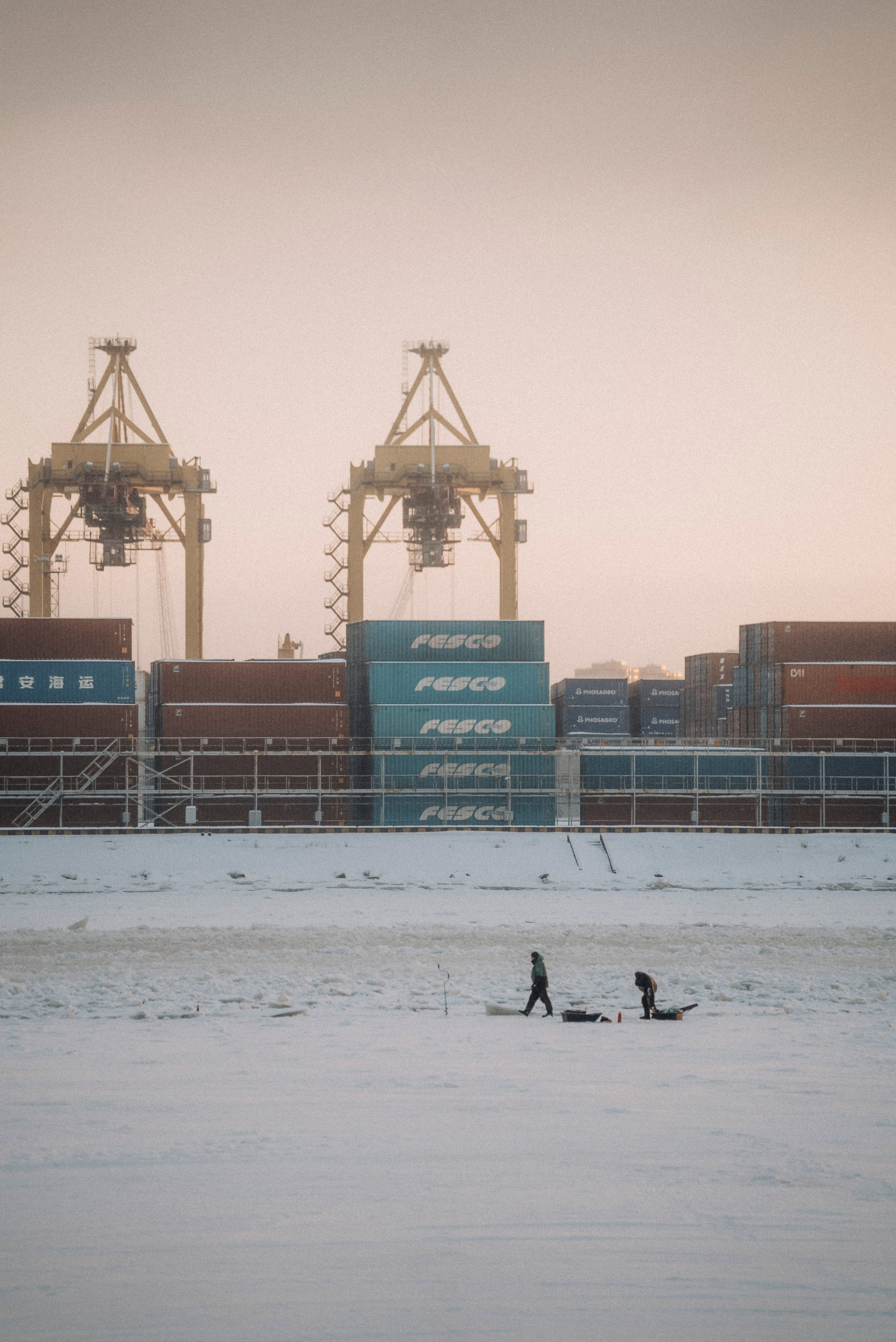 2026. Стрит-фотография, полная абсурда, идиотизма и красоты