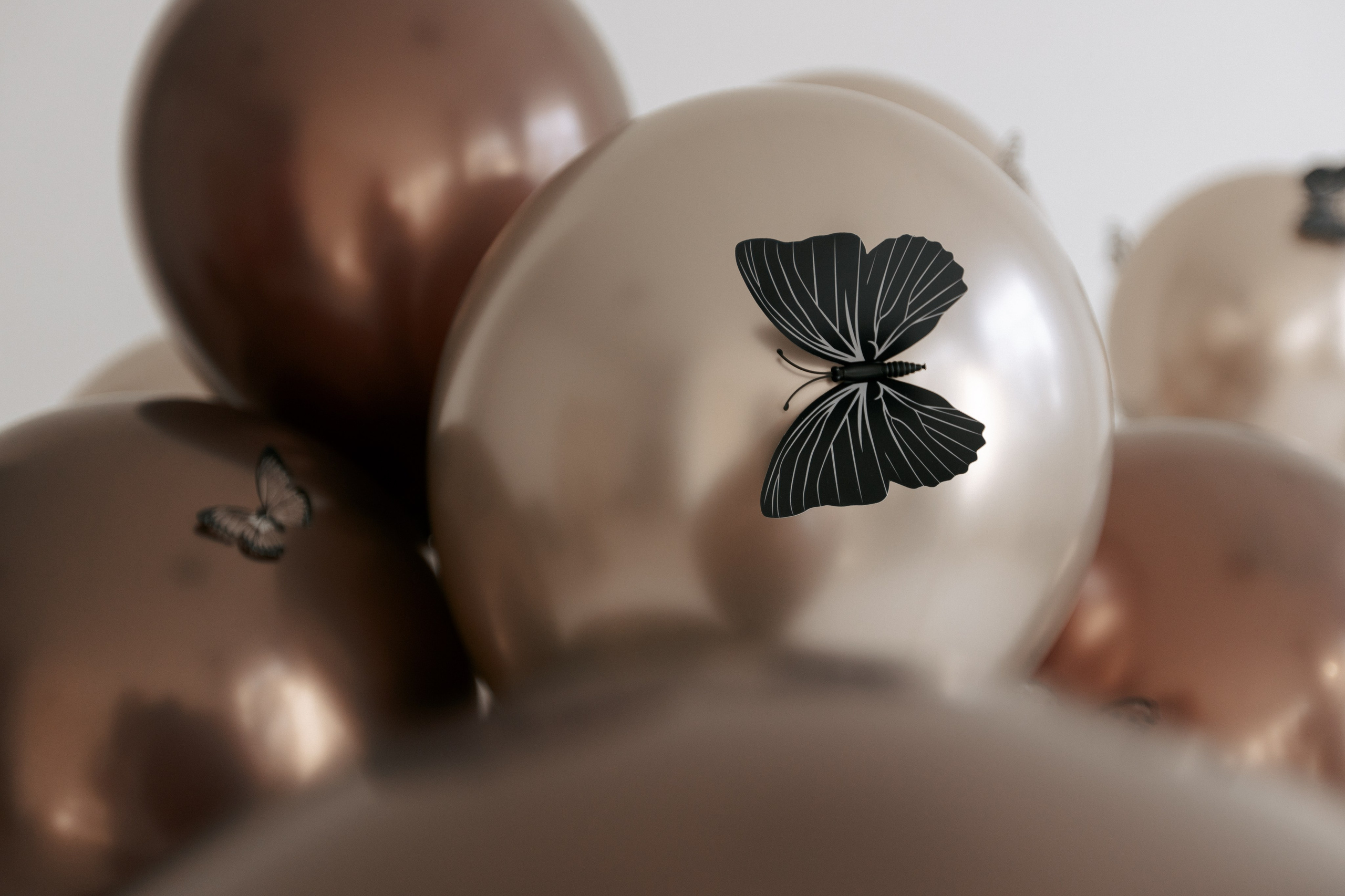 Ира и Саша. Фотограф Таганрог Любимая Надя