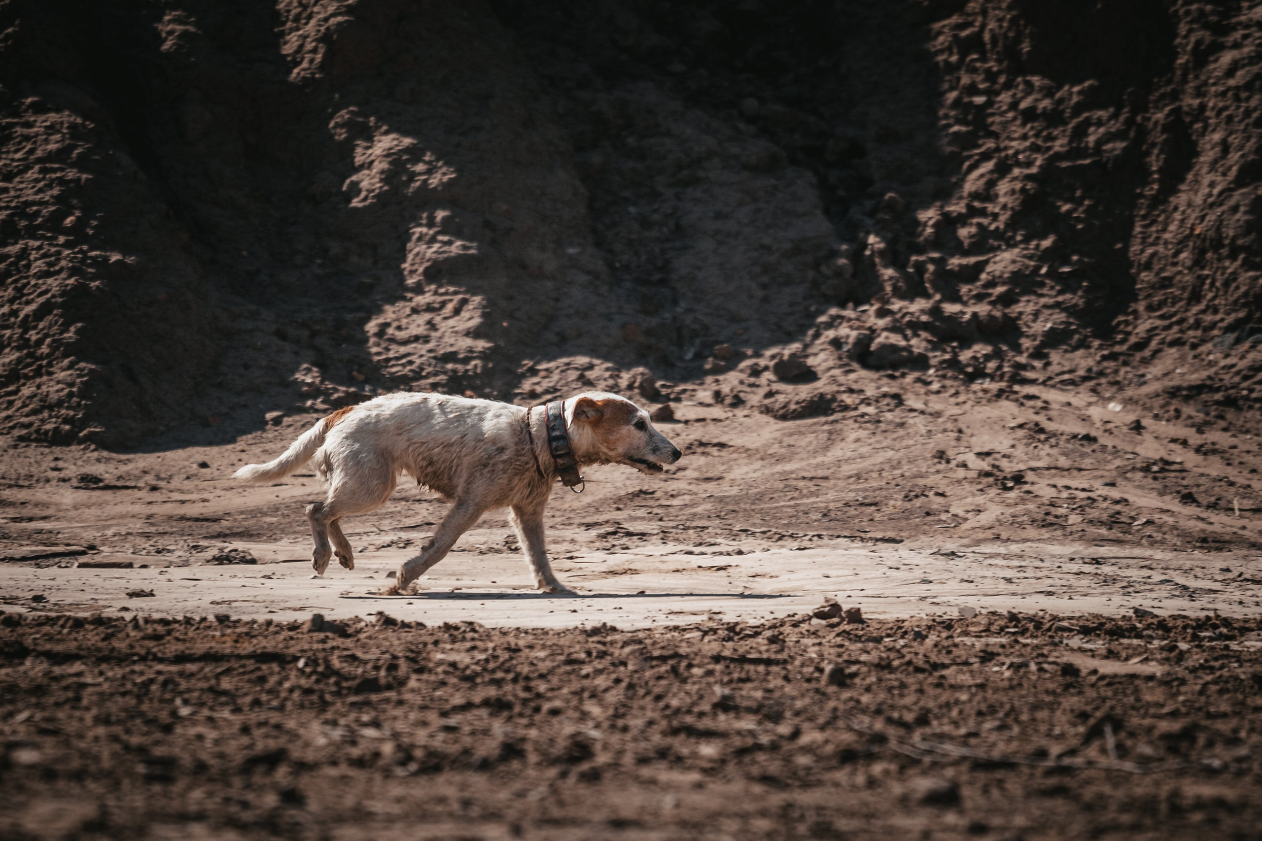 Кондуки. Фотограф-анималист Татьяна Степанова