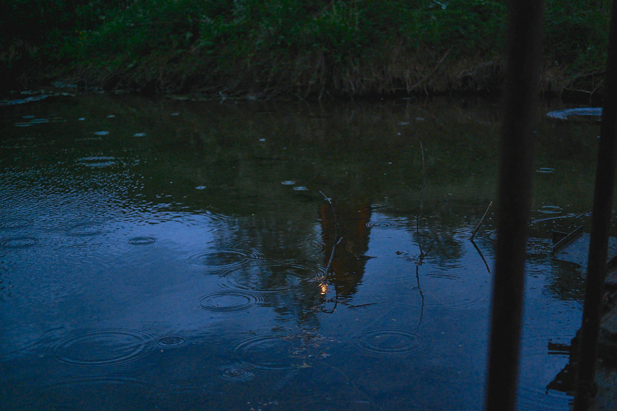 Женский портрет. Семейный и женский фотограф в Новомосковске и Узловой Михеева Татьяна