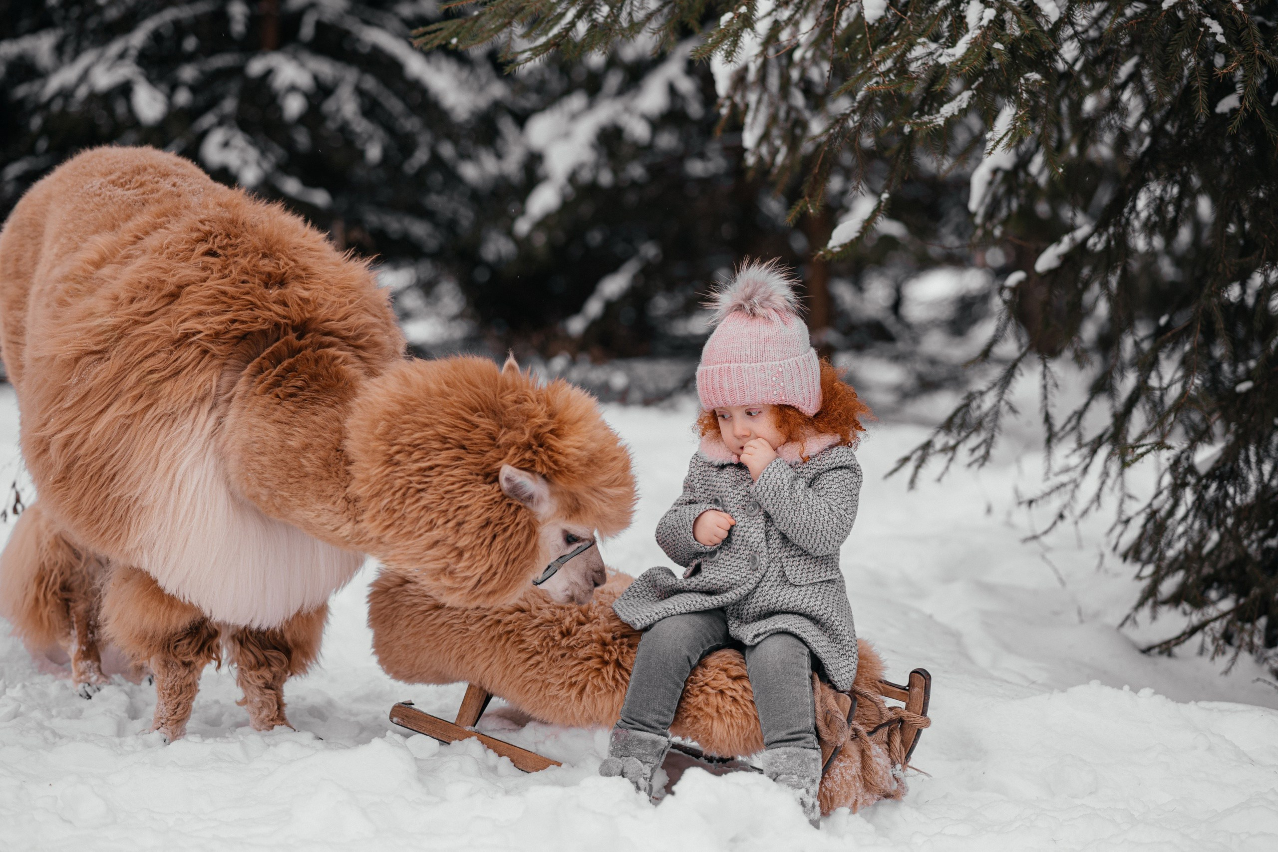 В снежном лесу. Фотограф текстиля в Москве Ольга Иванова