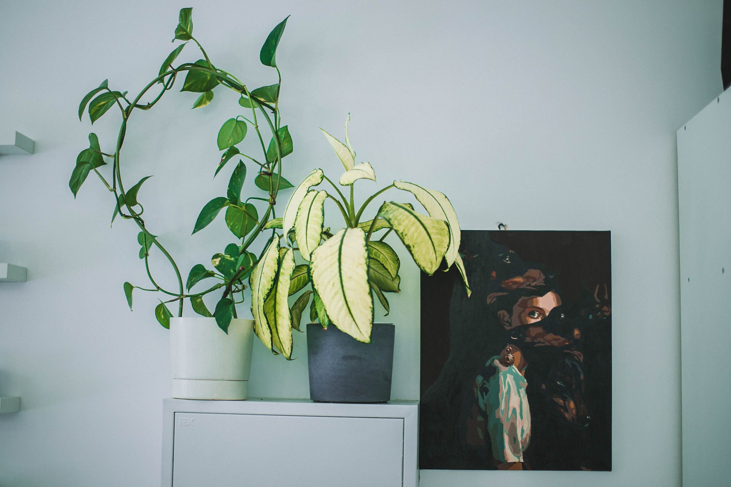 Реклама барбершопа Hardy`s. Главная