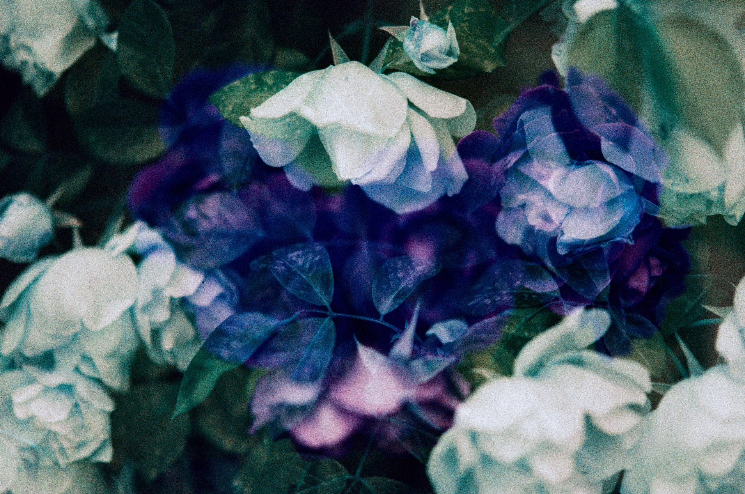 Pain shopping // ukraine, crimea VII. EVER EXPOSED