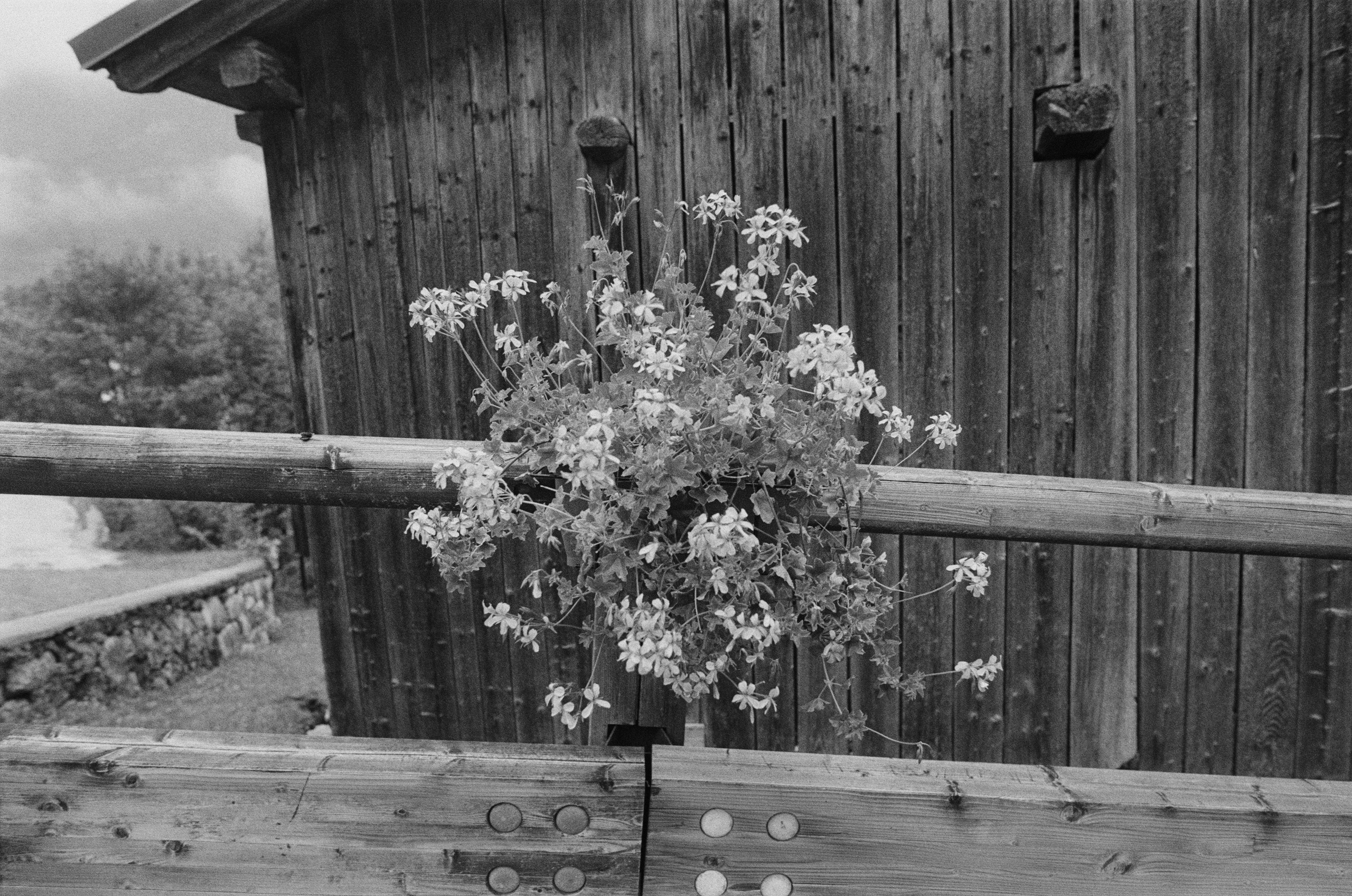 Are you coming // italy, rocca pietore II. EVER EXPOSED