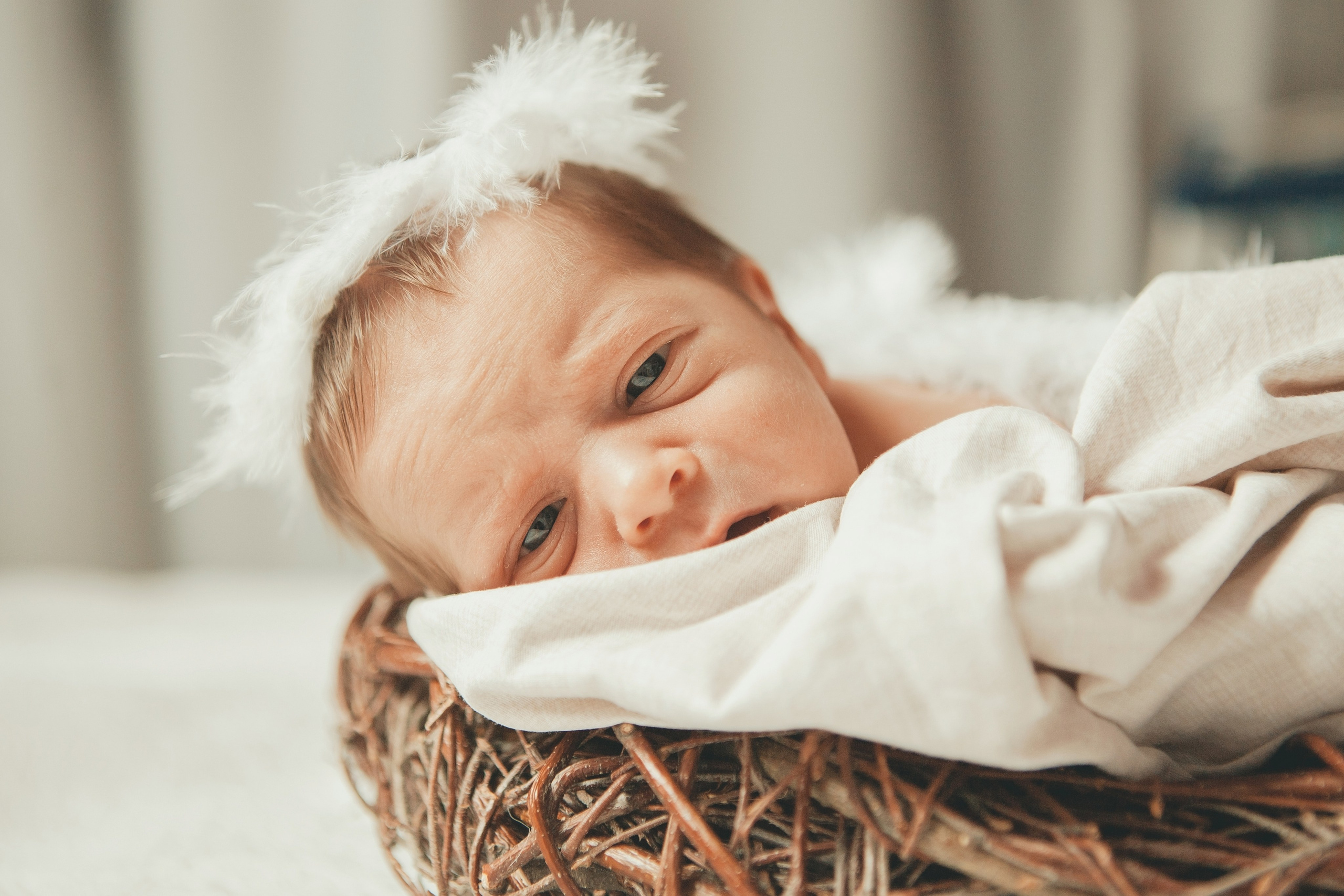 Гордей. Фотограф Ольга Ефремова