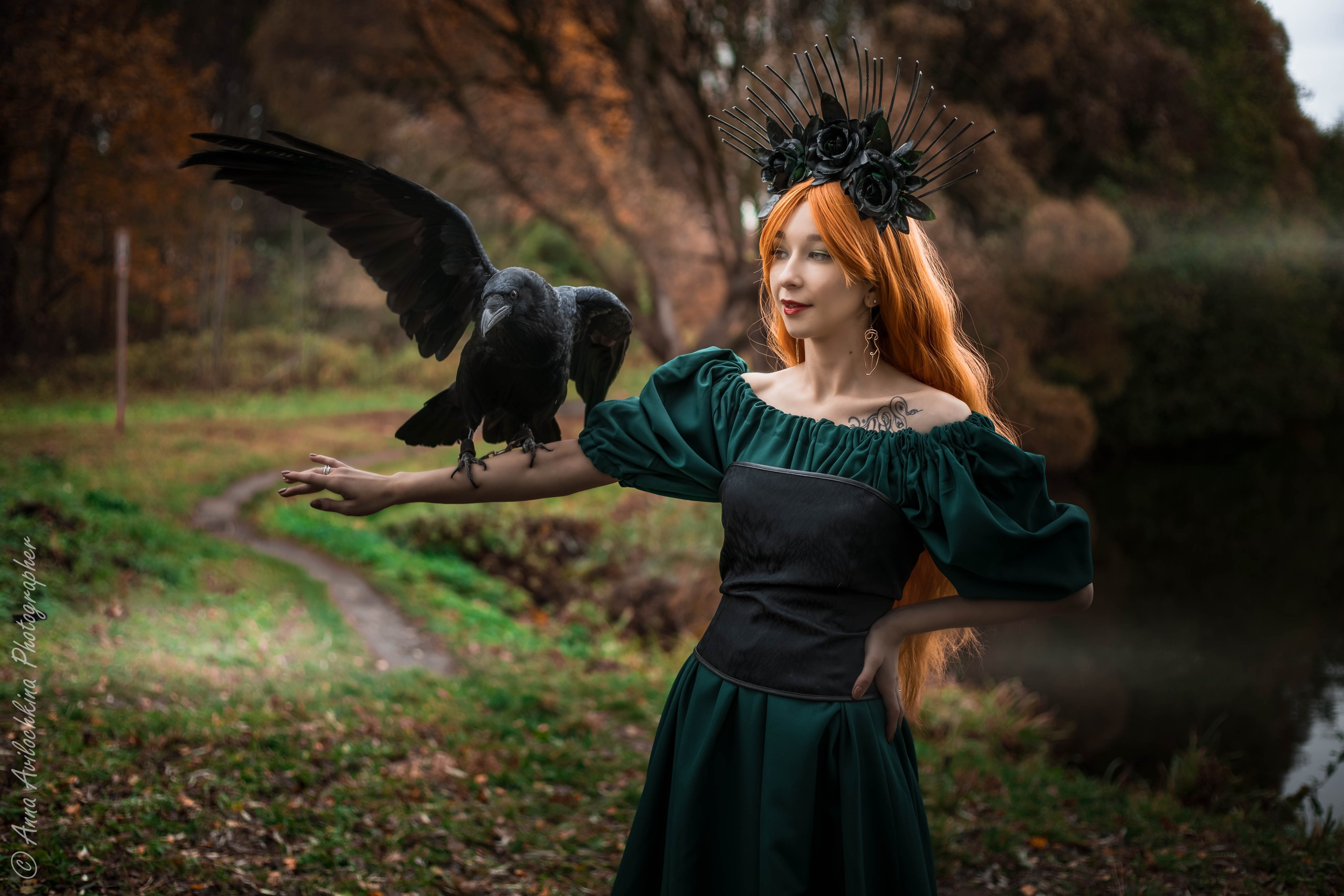 Альбомы стилизованных фотосессий и съёмки с животными. Семейный и свадебный фотограф в Москве и Домодедово Анна Авилочкина