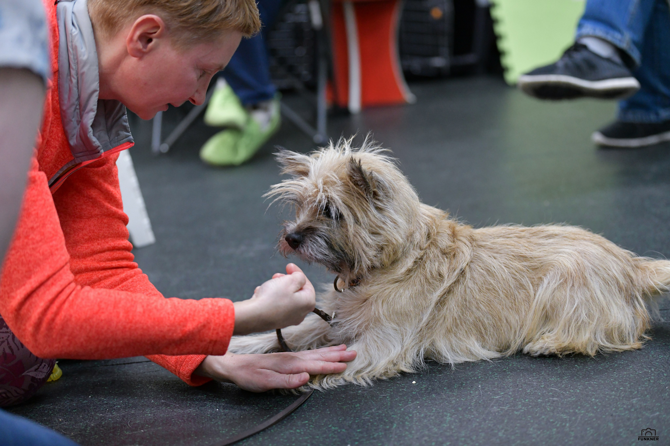 Кинологический клуб «Бодрый хвост». Свой взгляд через объектив