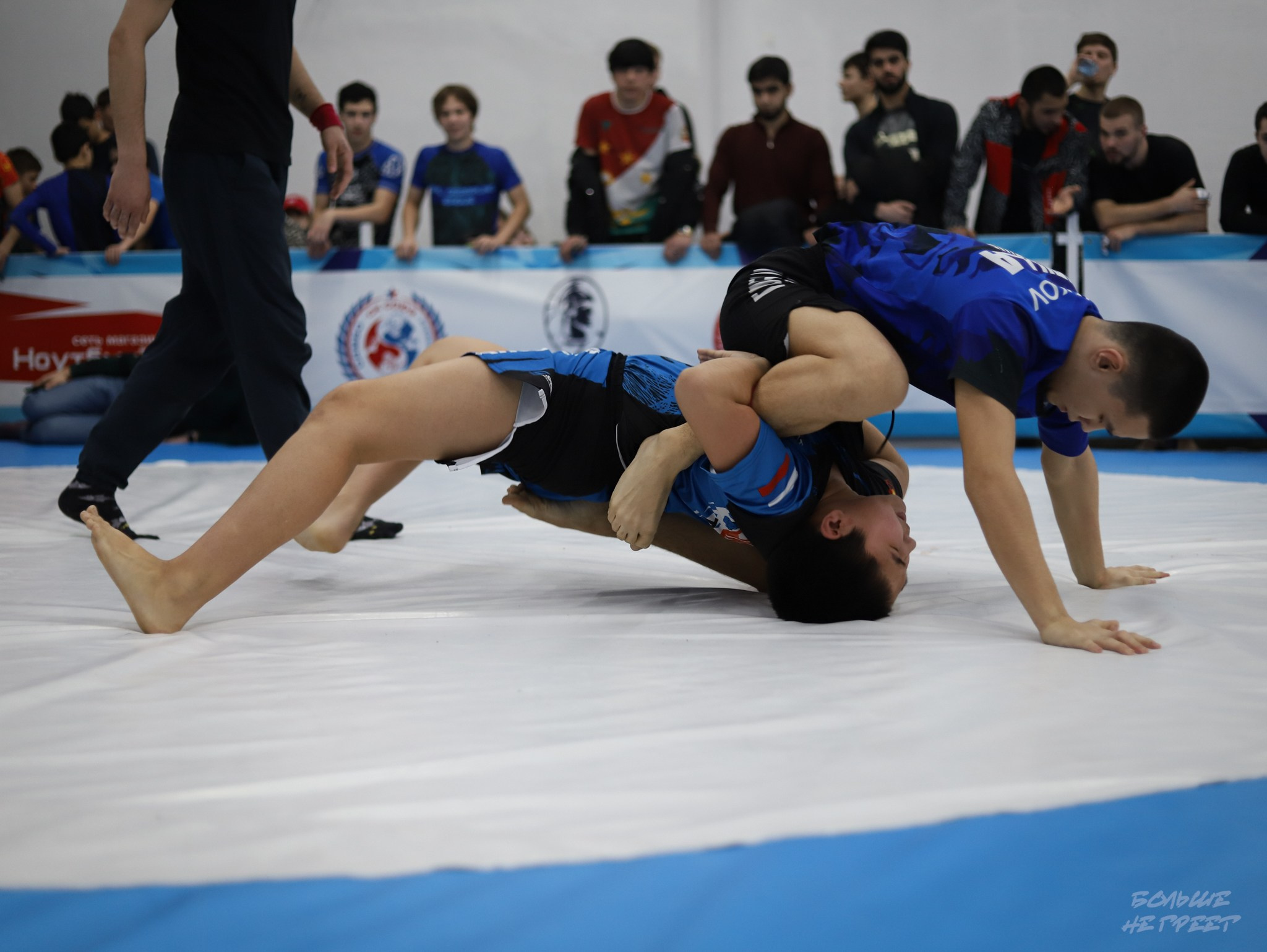 GORILLA PRIDE CUP. Больше не греет