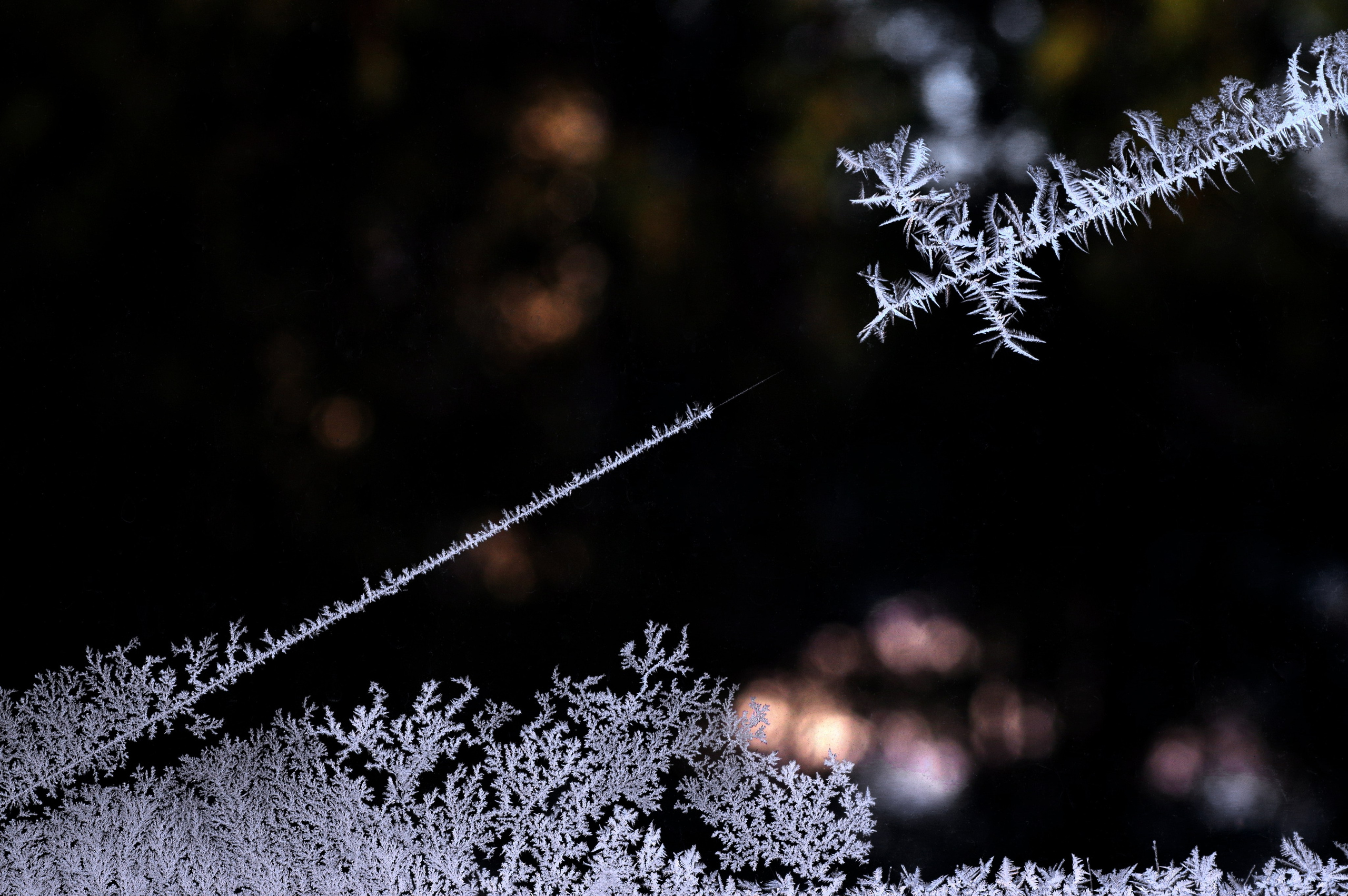 5. Вадим Шейдин