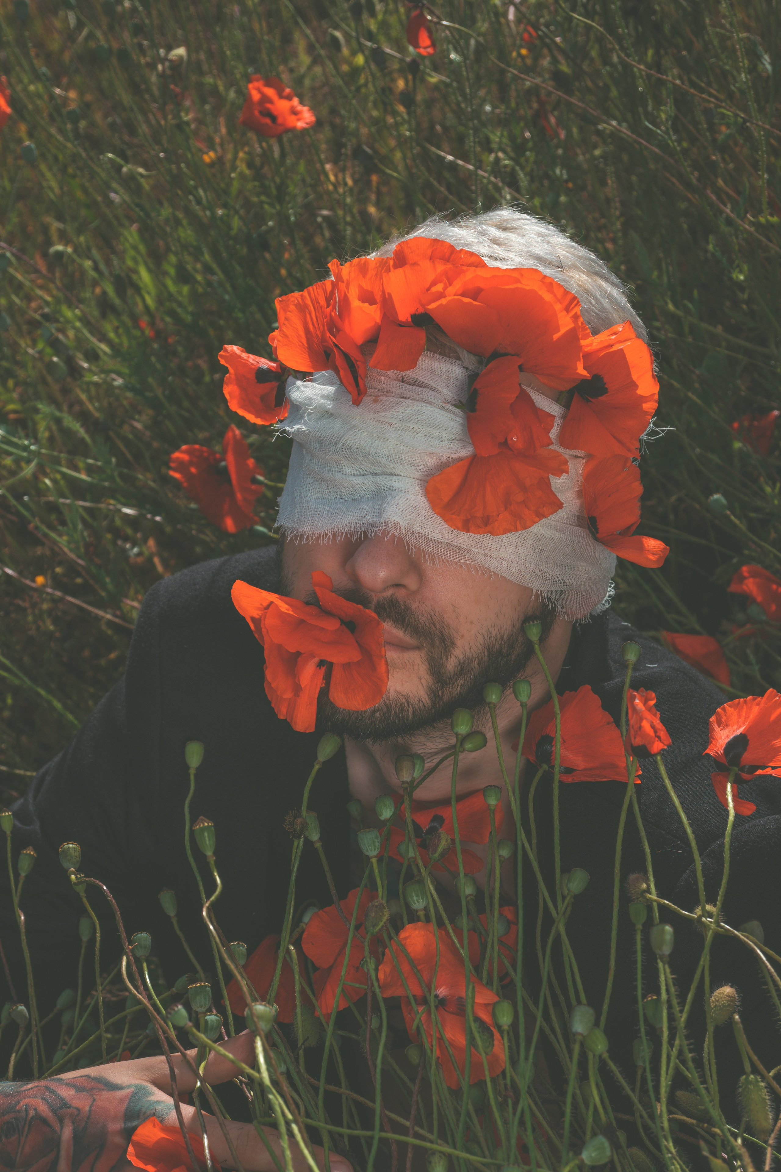 Tim. Fotograf Dmitrii Donets