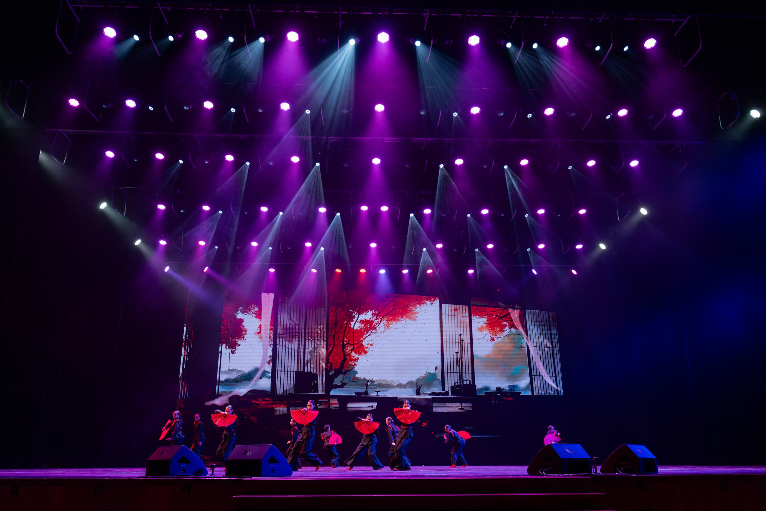 18 мая, г. Москва, Кремль, Концерт. Золотое яблочко