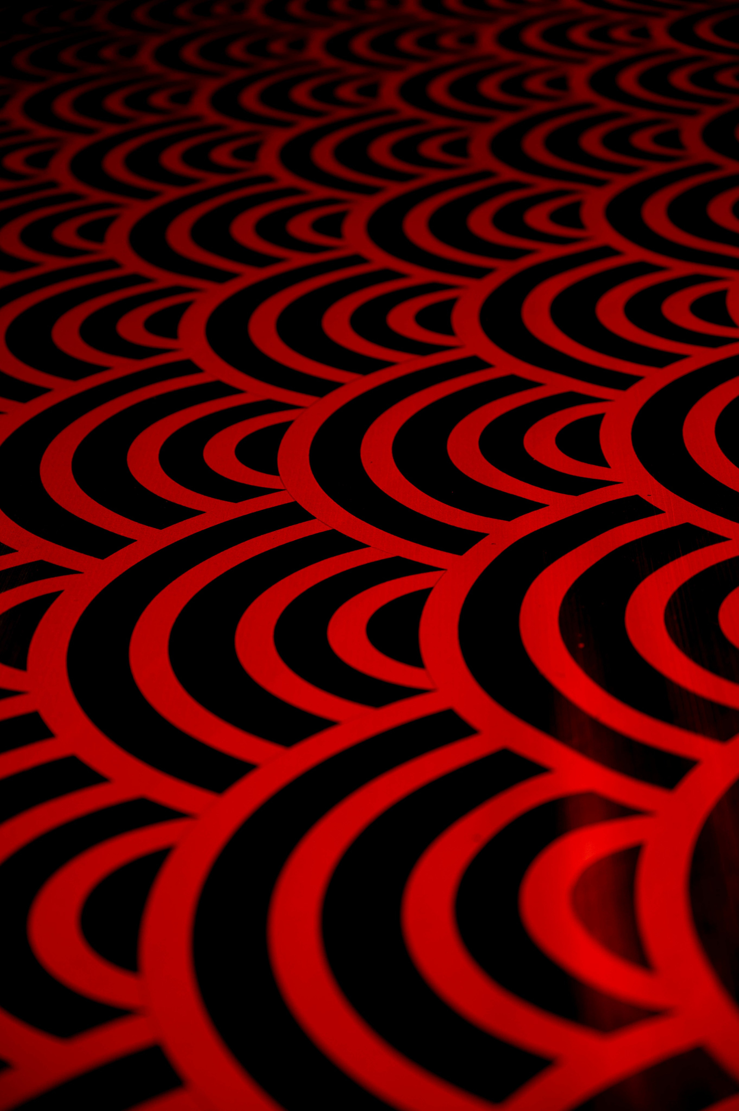 Новый год / СК Развитие / Ревва. Фотограф Антон Горин