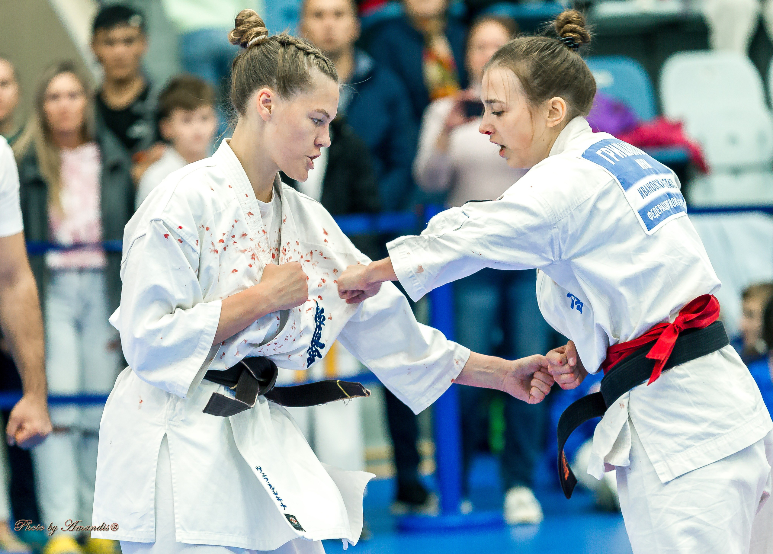 Чемпионат по Киокушинкай Центрального Федерального округа. Репортажная съемка в Москве и области. Анималистика