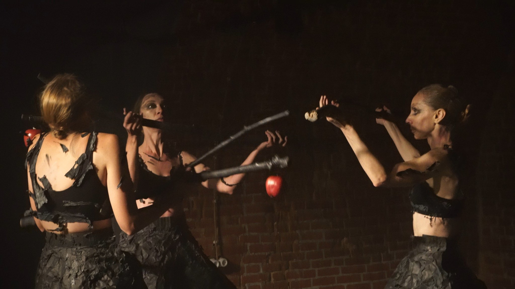 Красное дерево. Фото / Видеосъемка в Москве