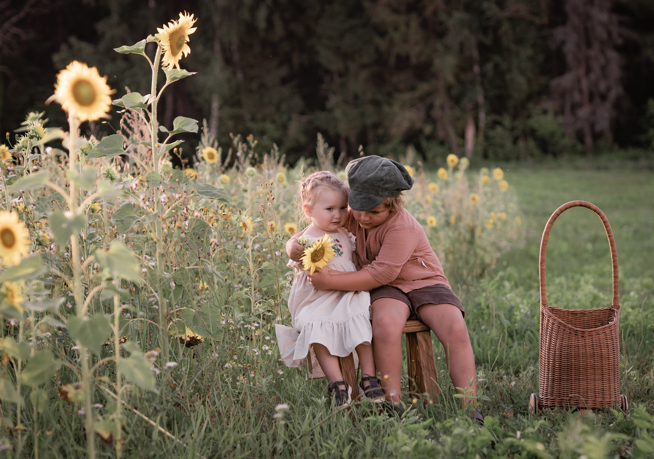 Прогулка с подсолнухами. Семейный фотограф Ефремова Виктория