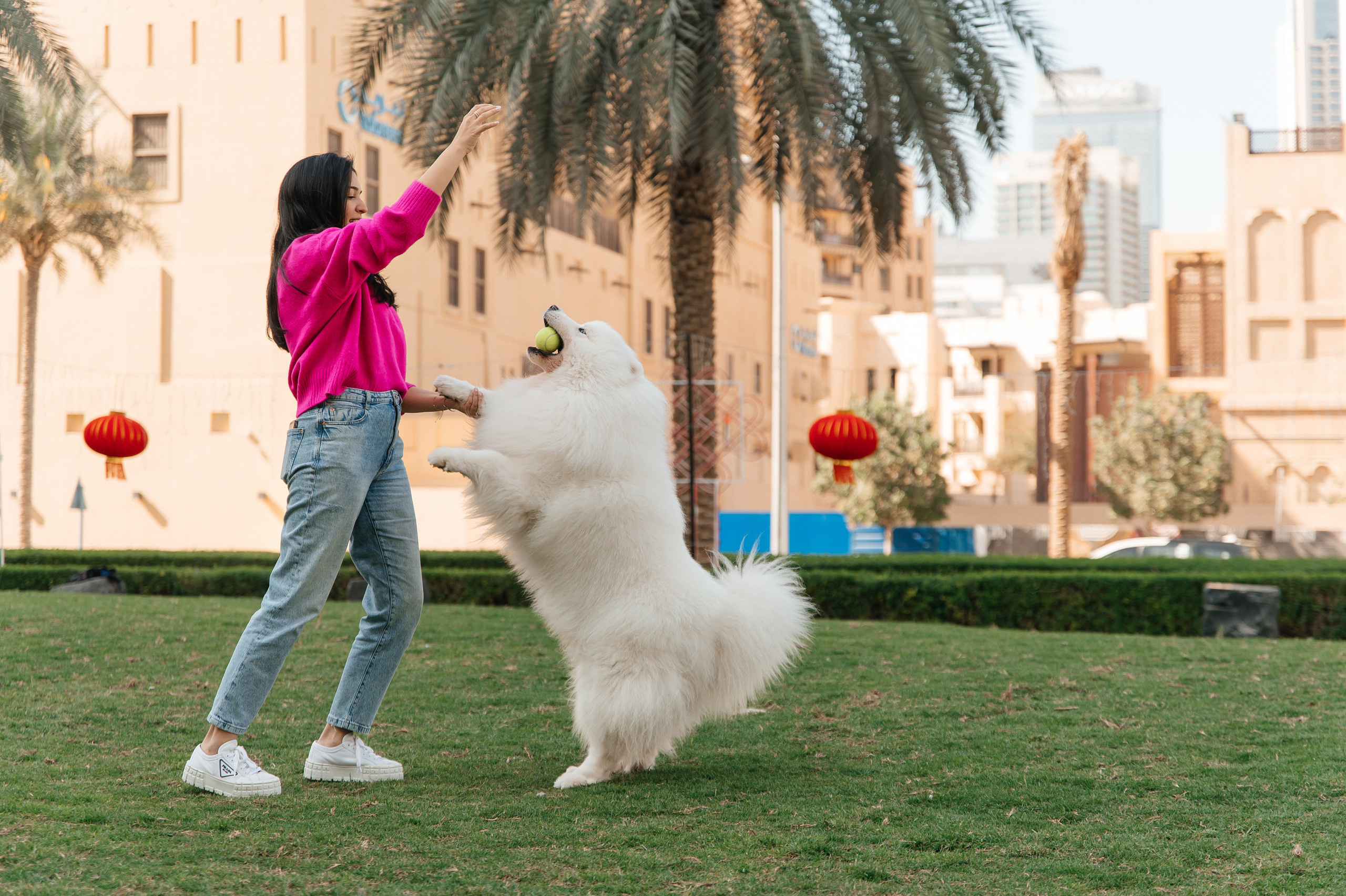 Couple photoshoot with Dog in Dubai. Wedding and family photographer in Dubai Vasilii Albul