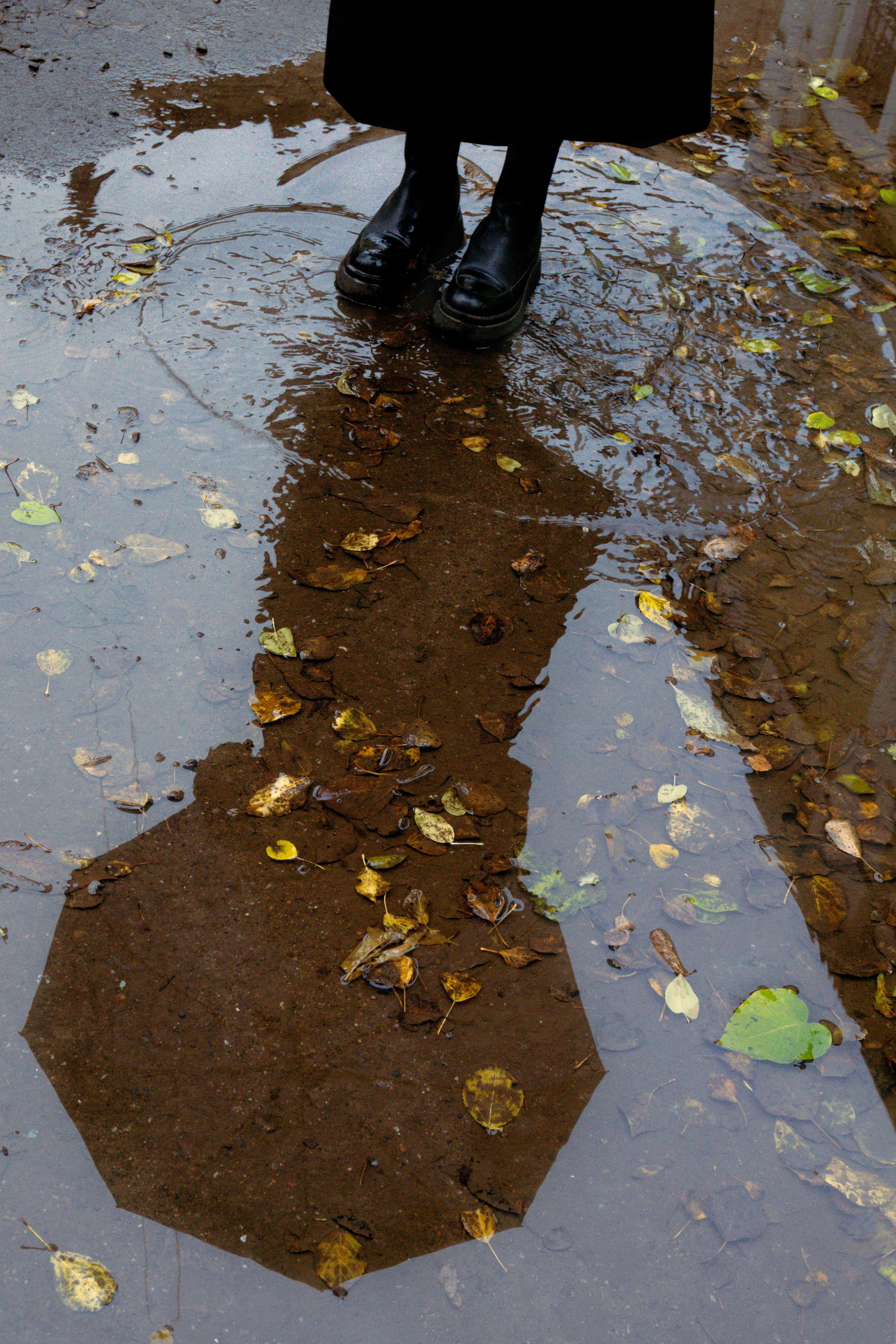 2025. Фотограф Алёна Жукова