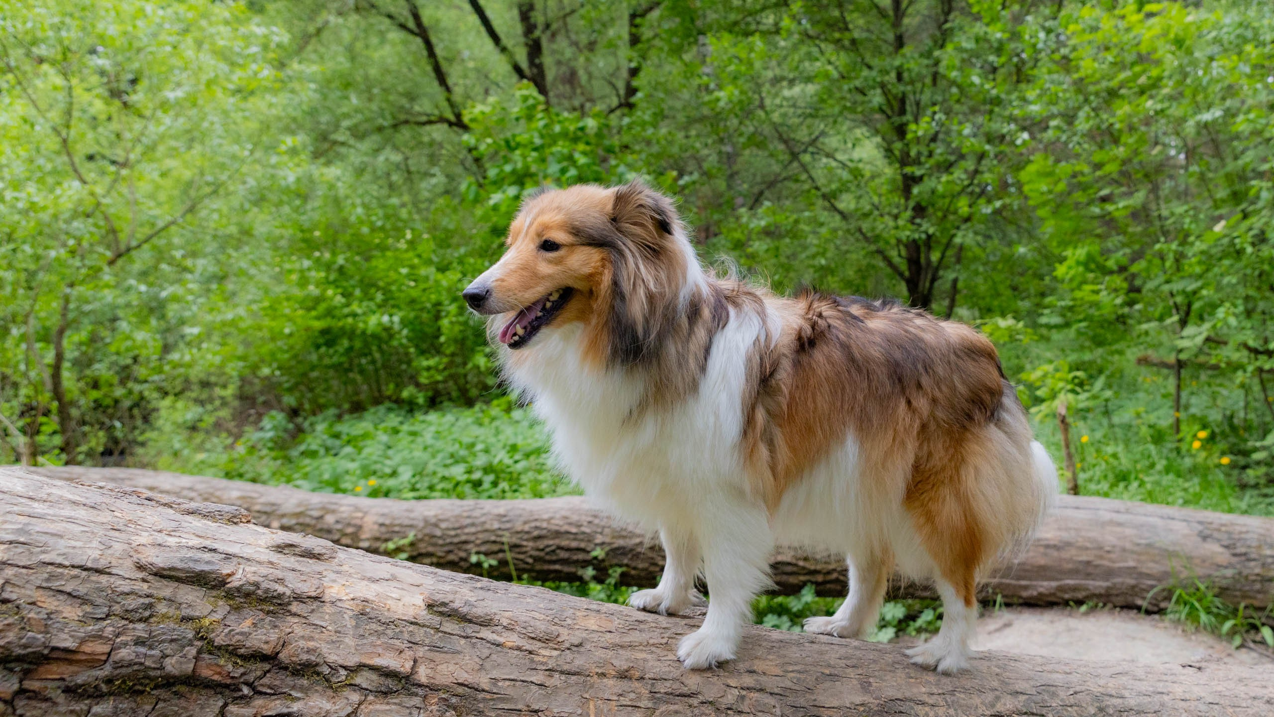 202405 Элис и Лора. Фотографии