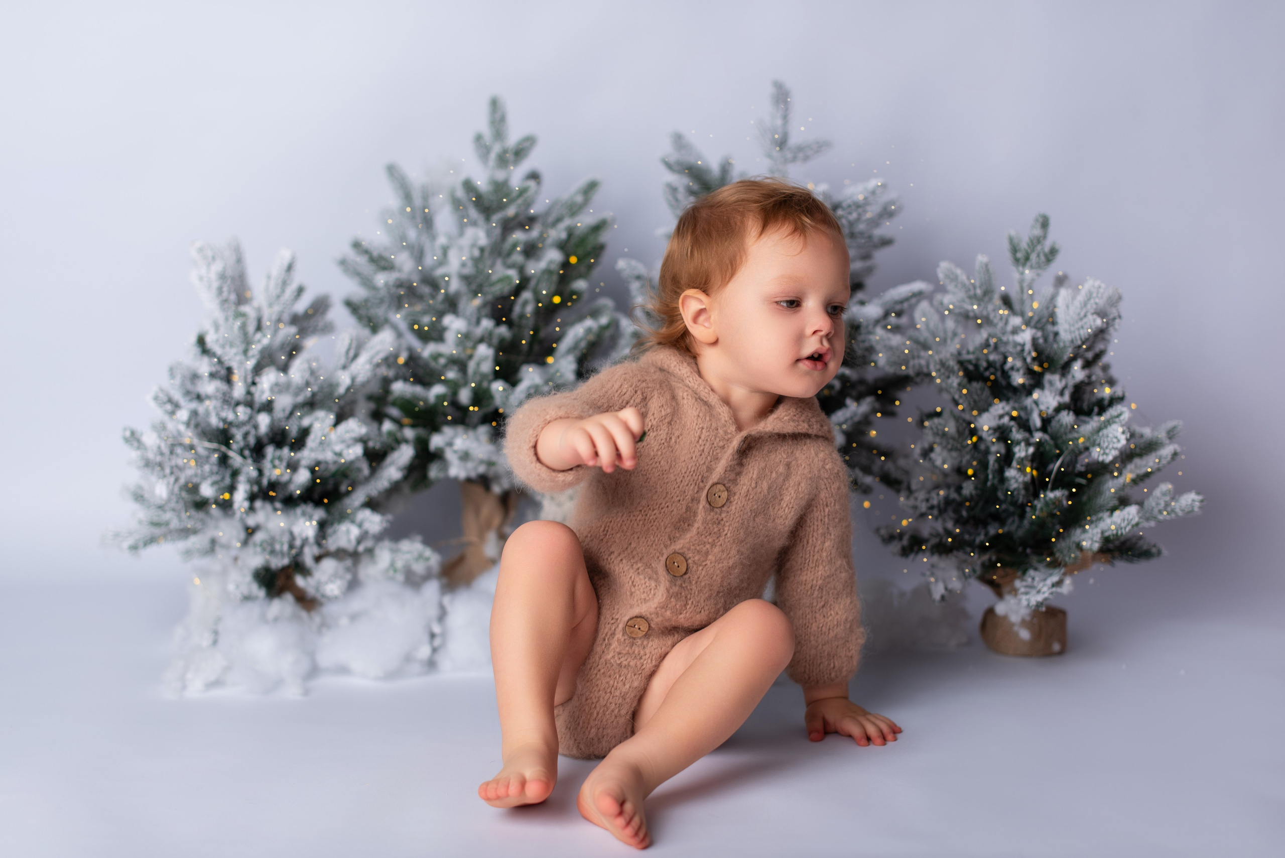 Новый год. Фотограф новорожденных и беременности Сергиев Посад Усачева Ирина