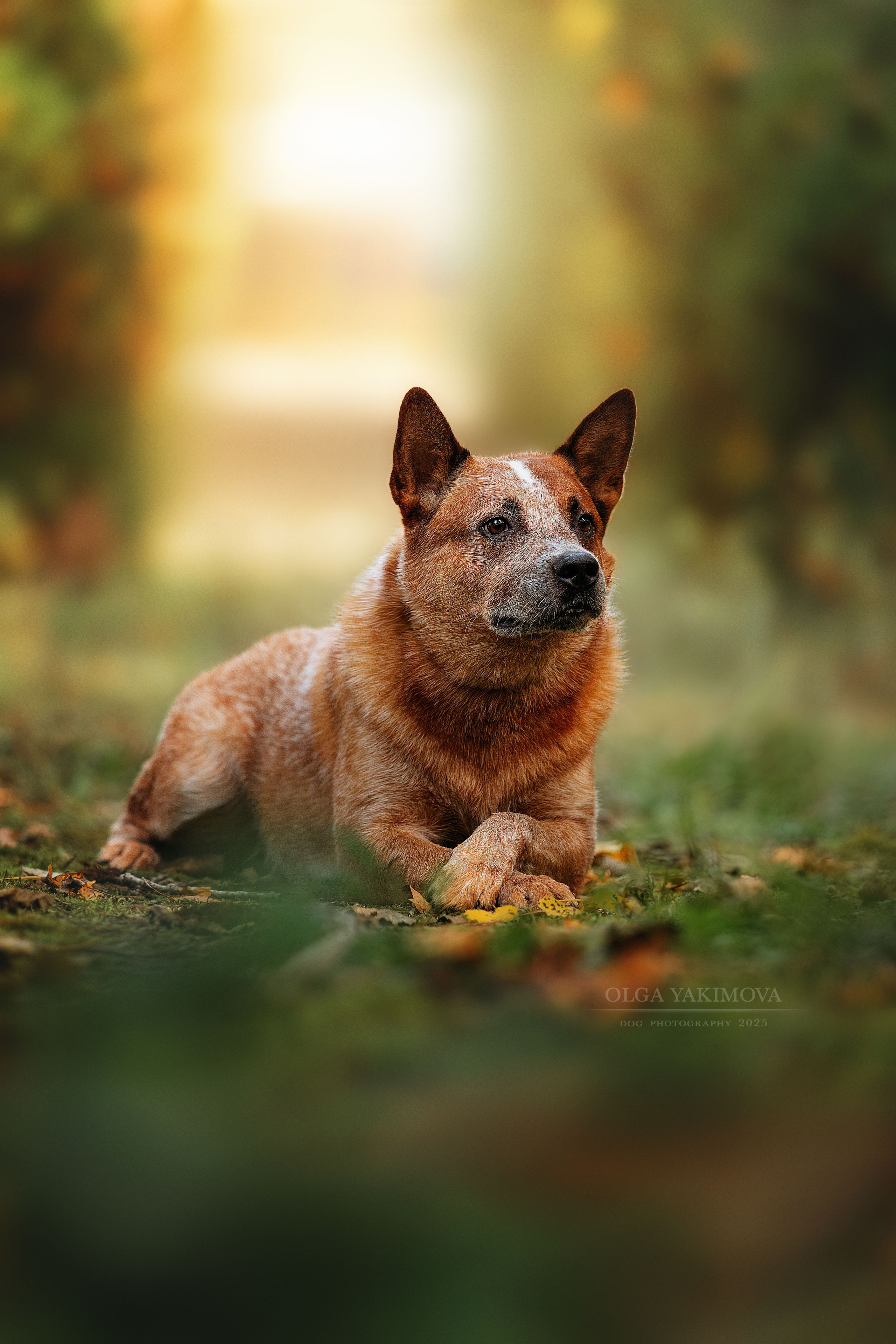 Экстерьер. Фотограф