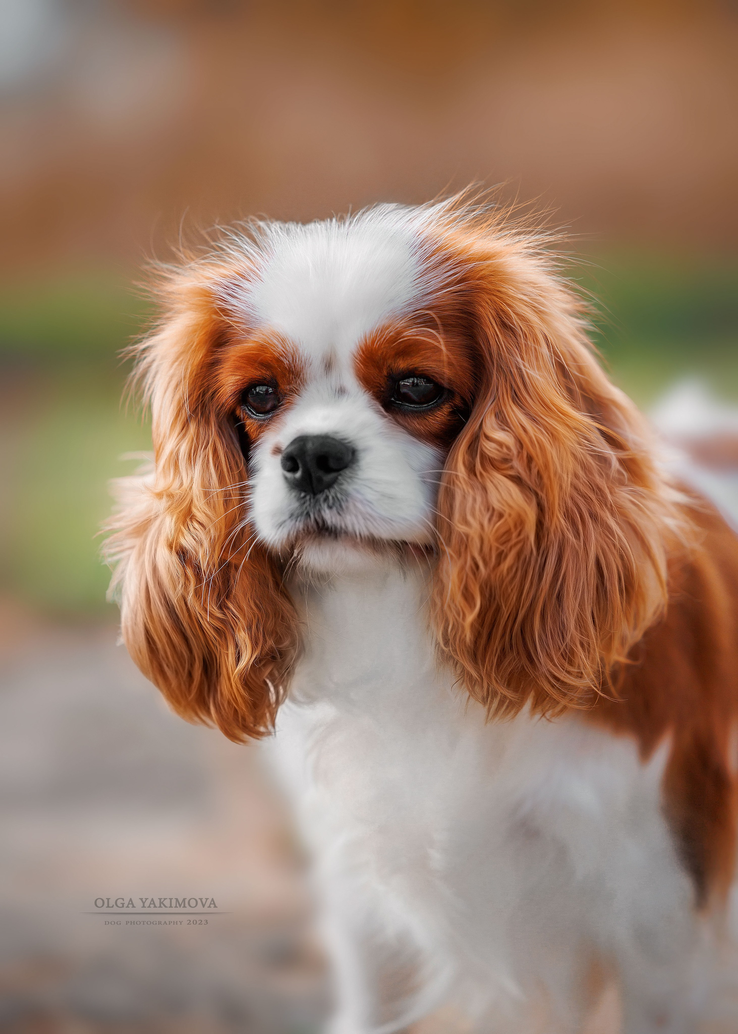 Экстерьер. Фотограф