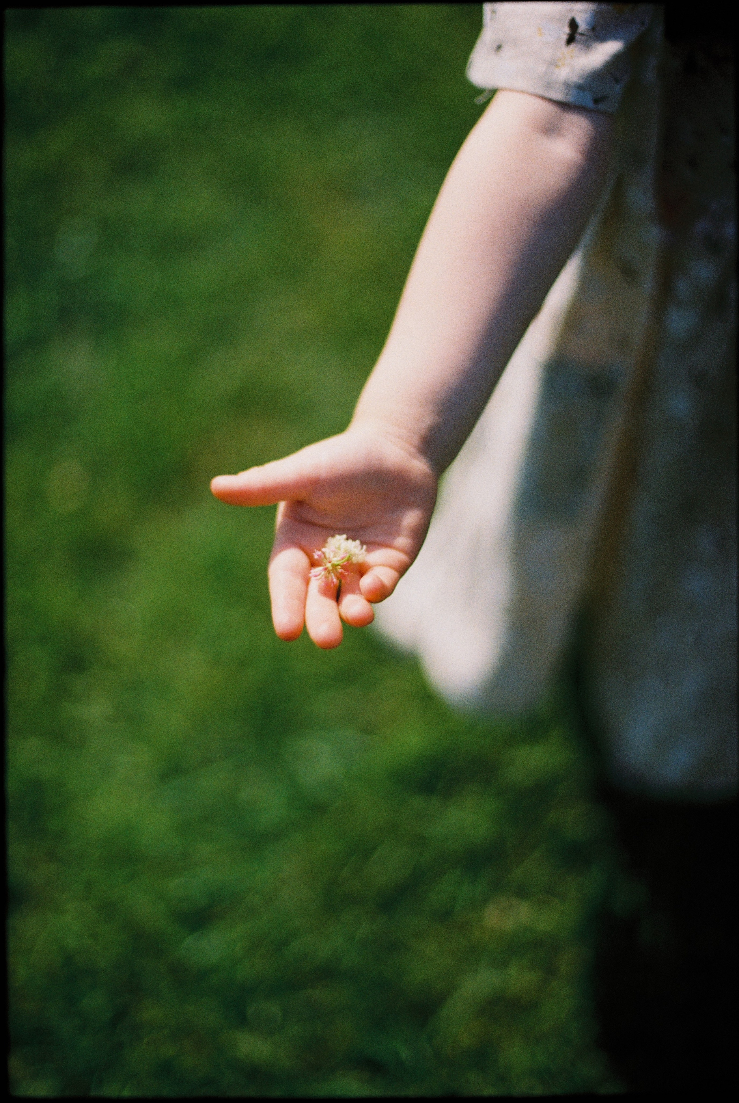 POLYANA'2025. Beyourselfph.ru