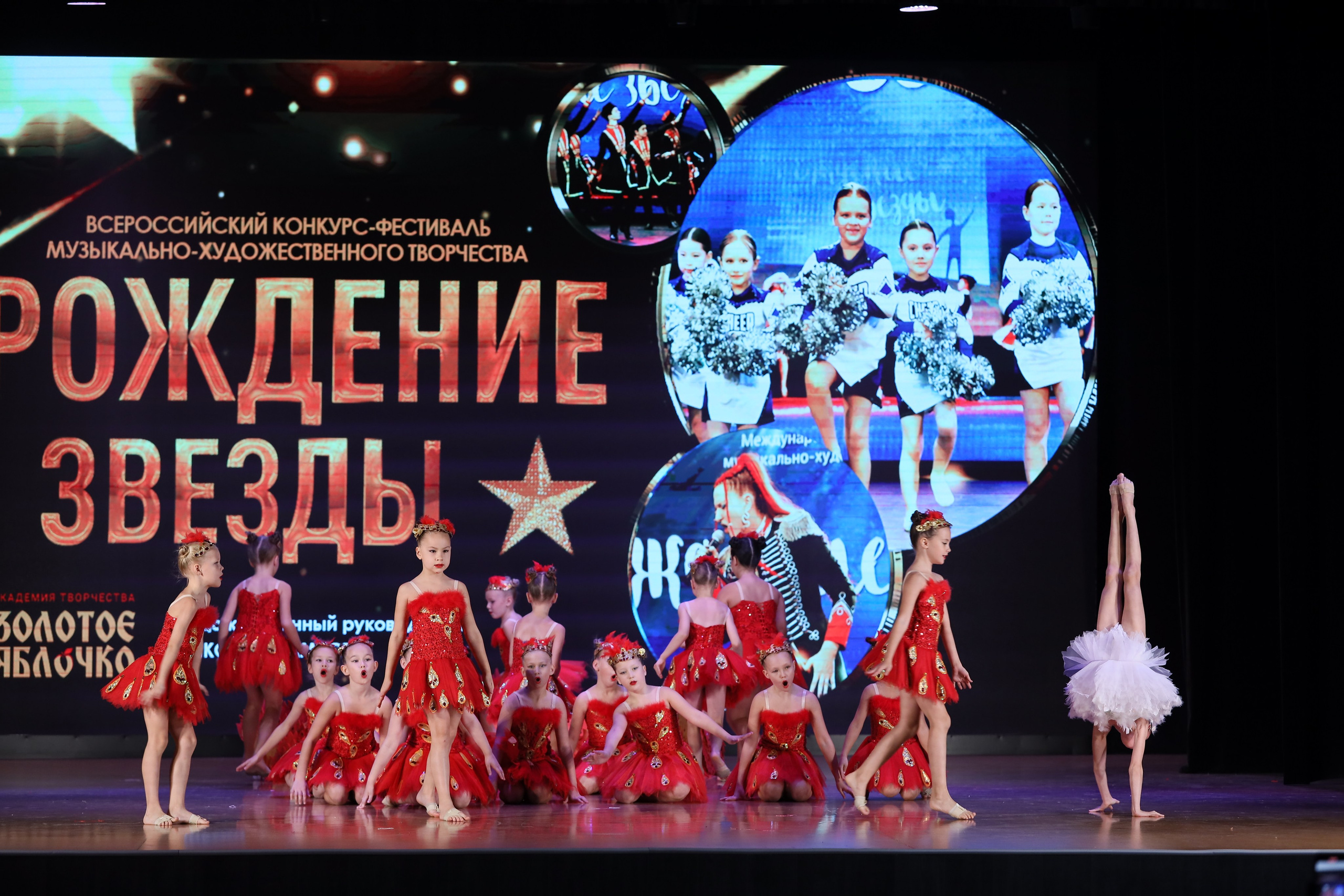 4 ноября, блок 1, видео, номера 14-29, г. Краснодар. Золотое яблочко