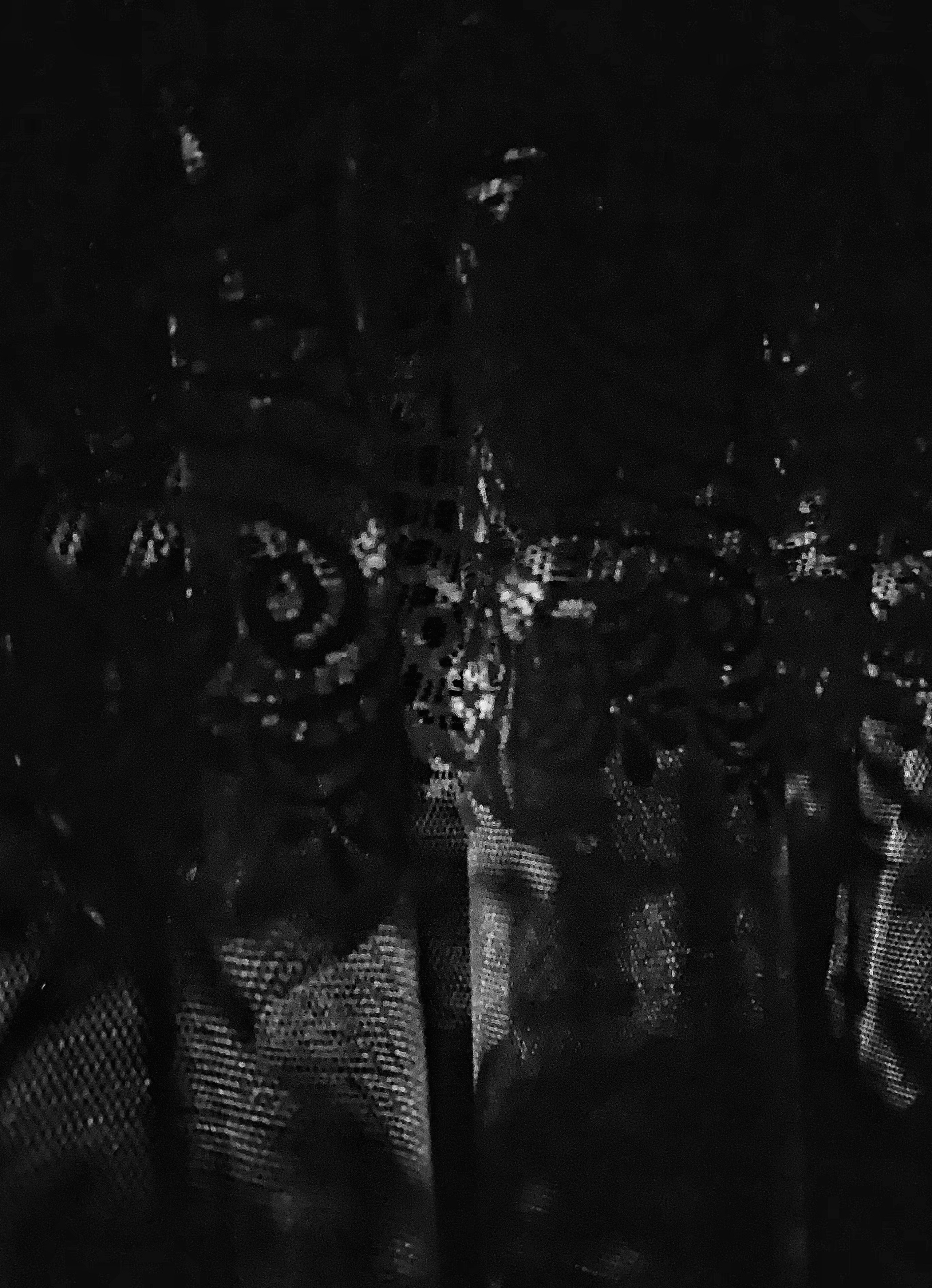 2019 год. Тащилин Сергей. Фотографии. Жизнь. Хобби