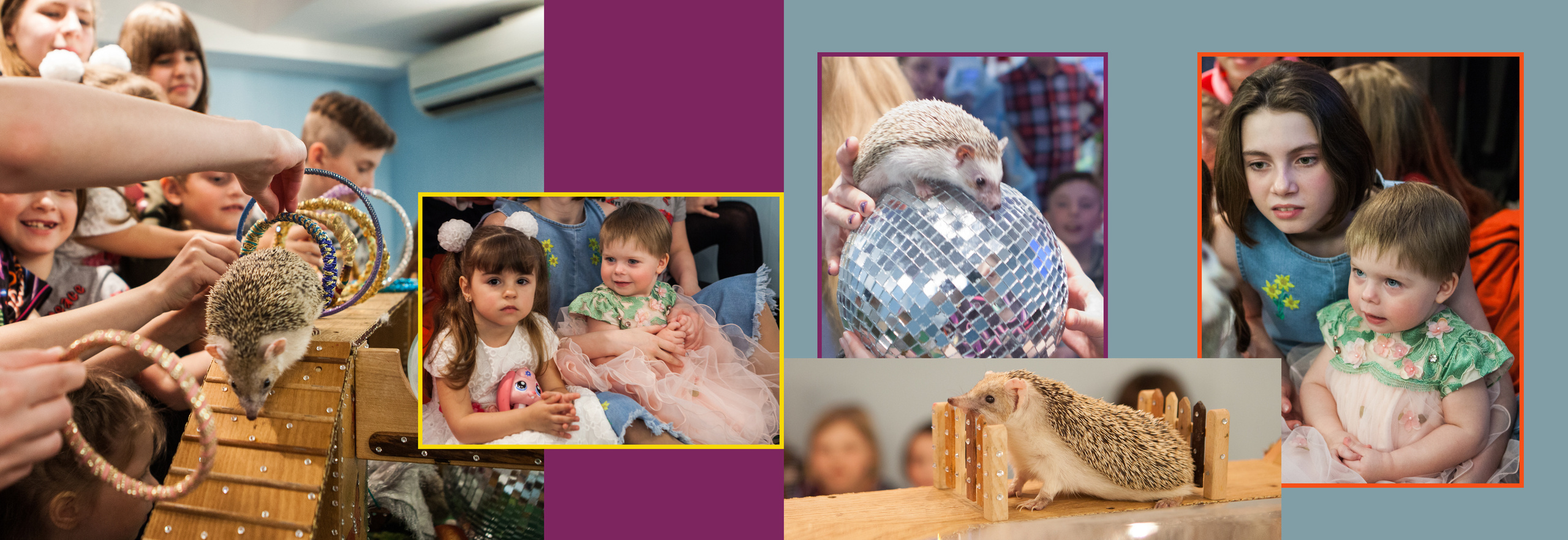 Фотокниги. Фотограф Аркадий Назаров