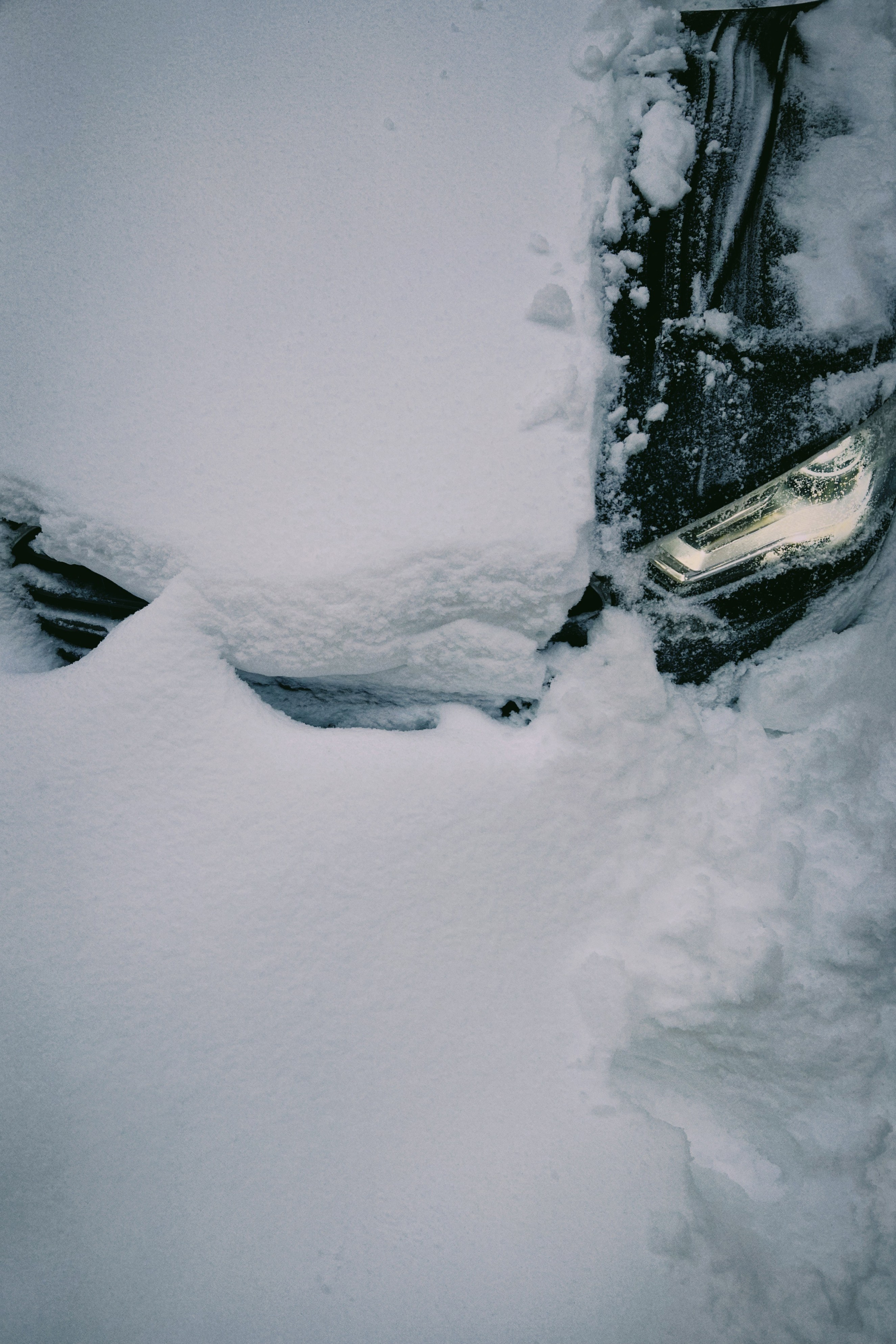 Лучшие фото, снятые на iPhone