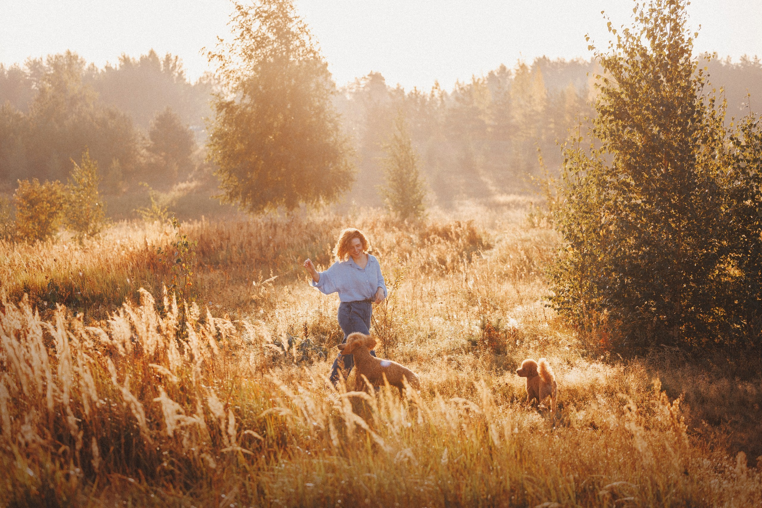 Юля, Кир и Цера. Фотограф анималист Осипчикова Мария