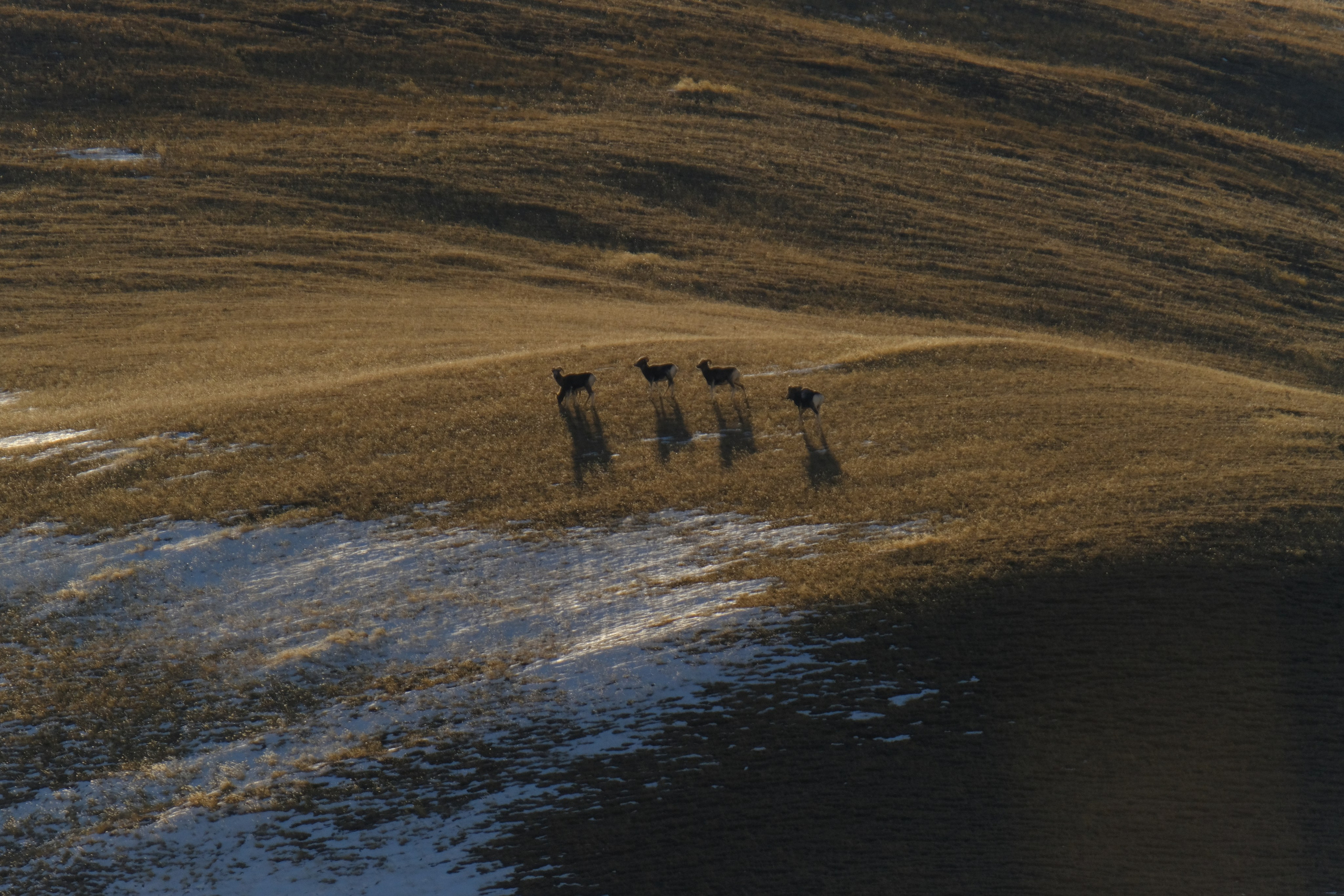 Fine Art Photography. Margarita Rodionova — a contemporary lens-based artist currently working in Cancun, Mexico