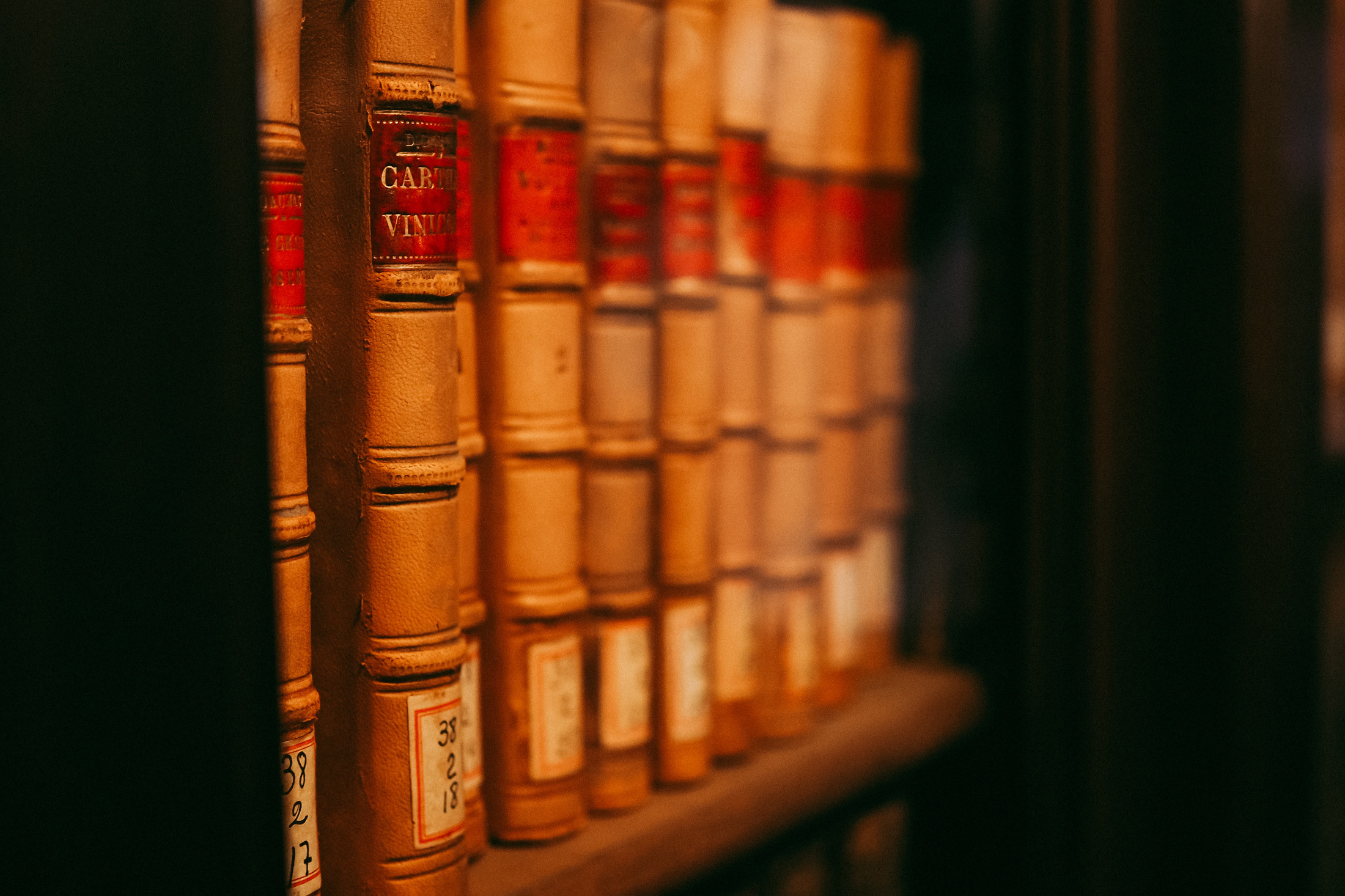 Sesión de fotos en la biblioteca de Barcelona. Фотограф в Барселоне Валиулова Ася