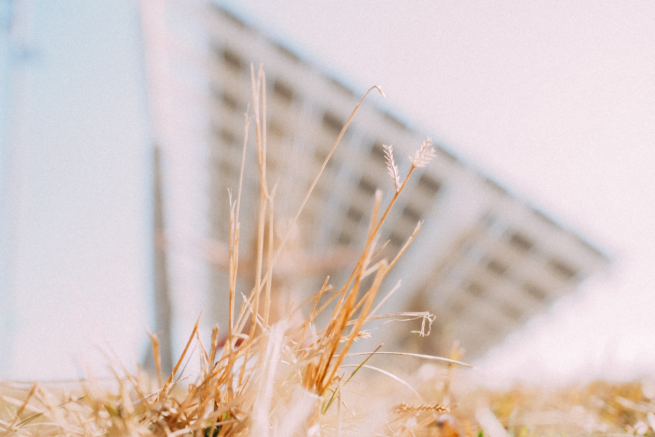 Фотосессия в Барселоне. Фотограф в Барселоне Валиулова Ася