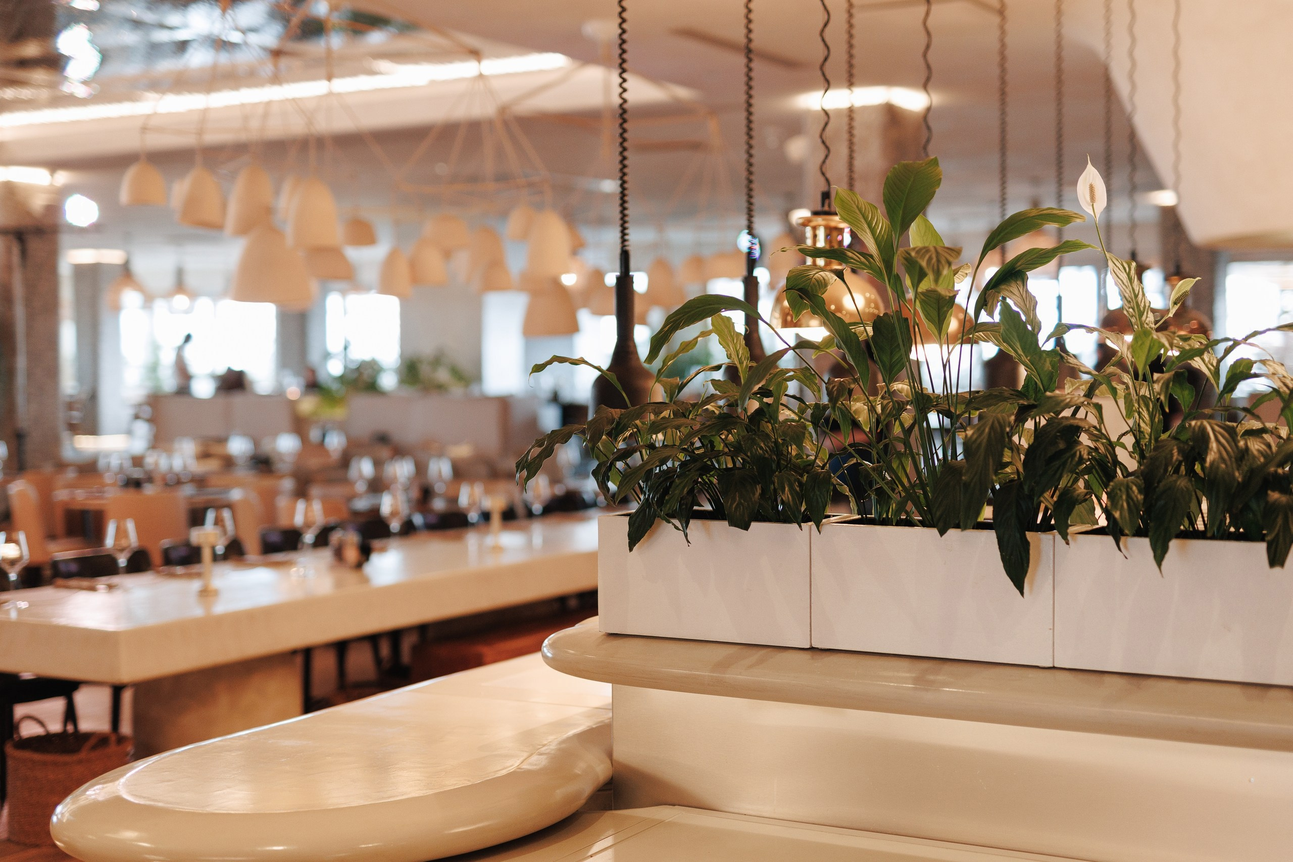 Бранч для невест | 3.03.2024. Свадебный и репортажный фотограф в Воронеже Сергей Максимов