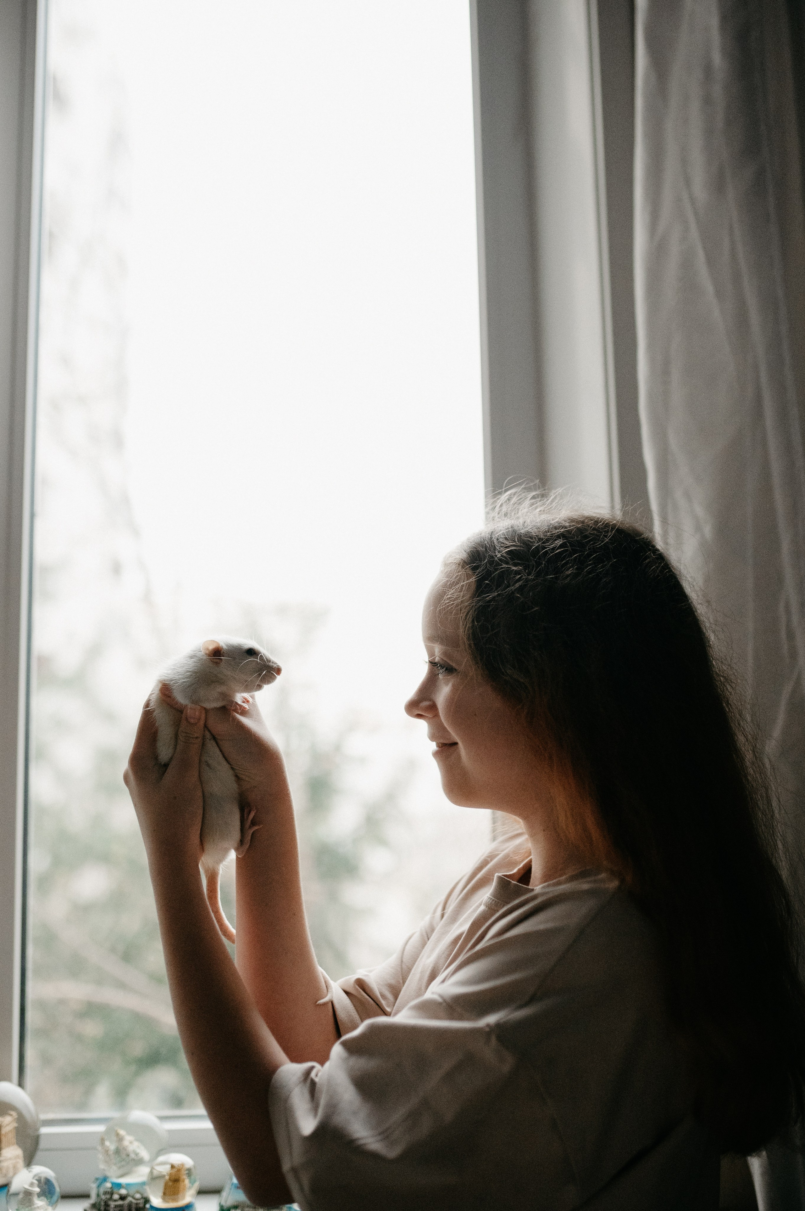 Даша, Диана, Дебби и маленькая крыска. Фотограф анималист в Москве Ольга Агушева