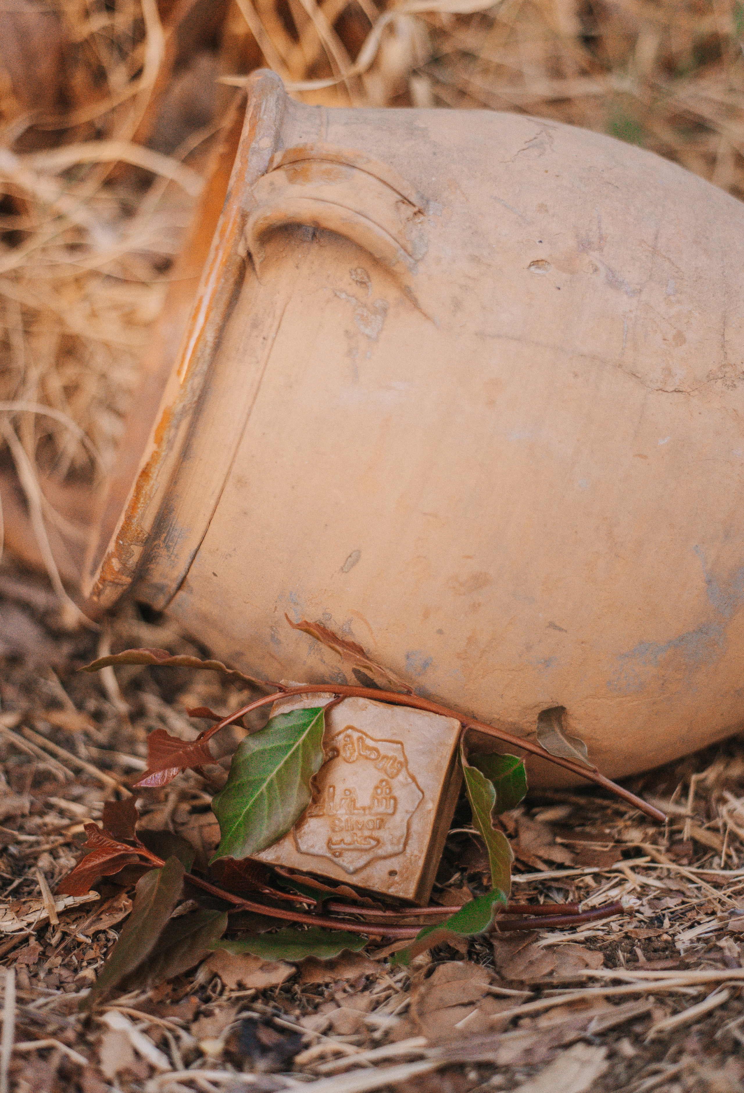 Косметика. Фотограф Василиса Гордеева