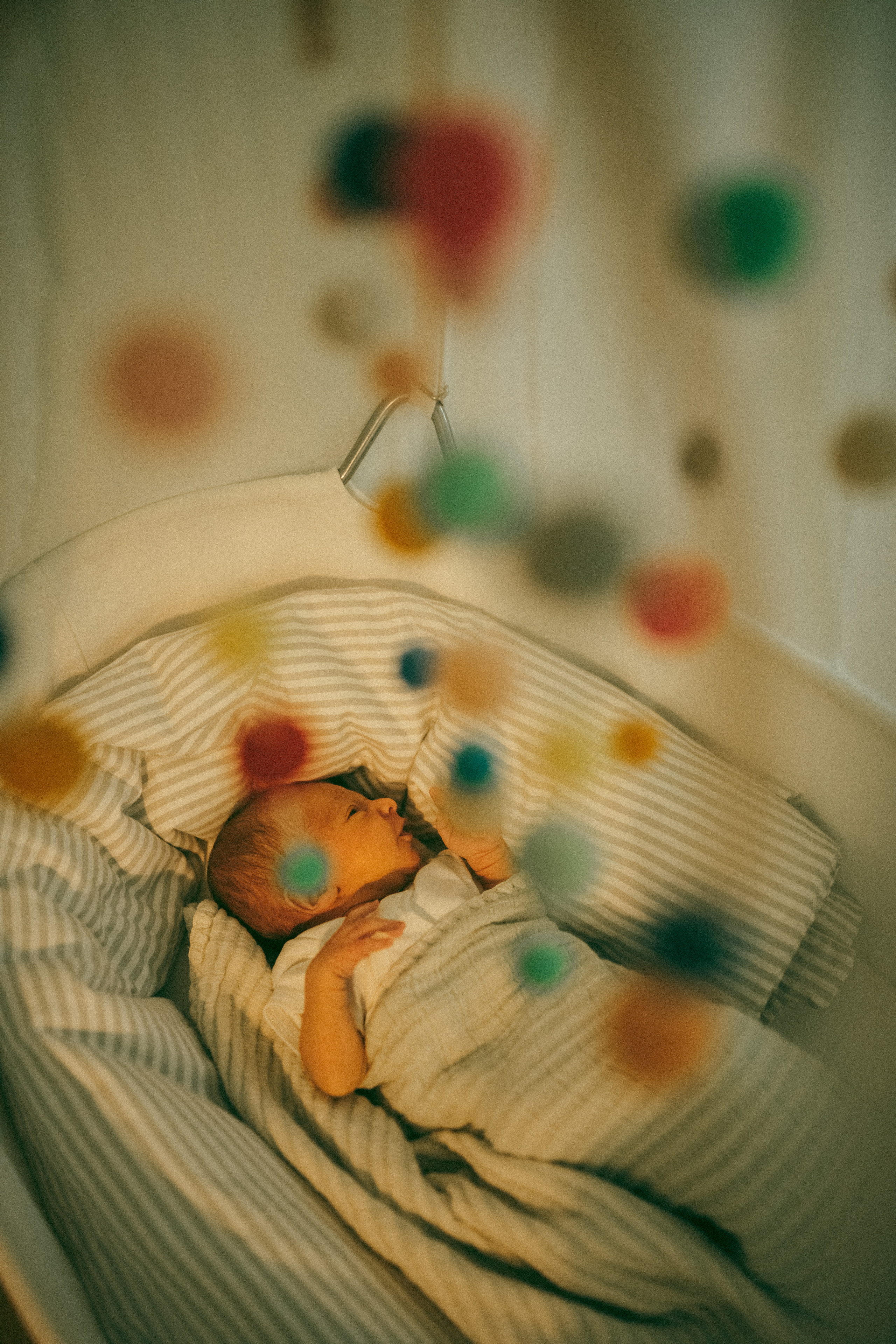 Thea&Luca + Matteo. Василиса Кёниг