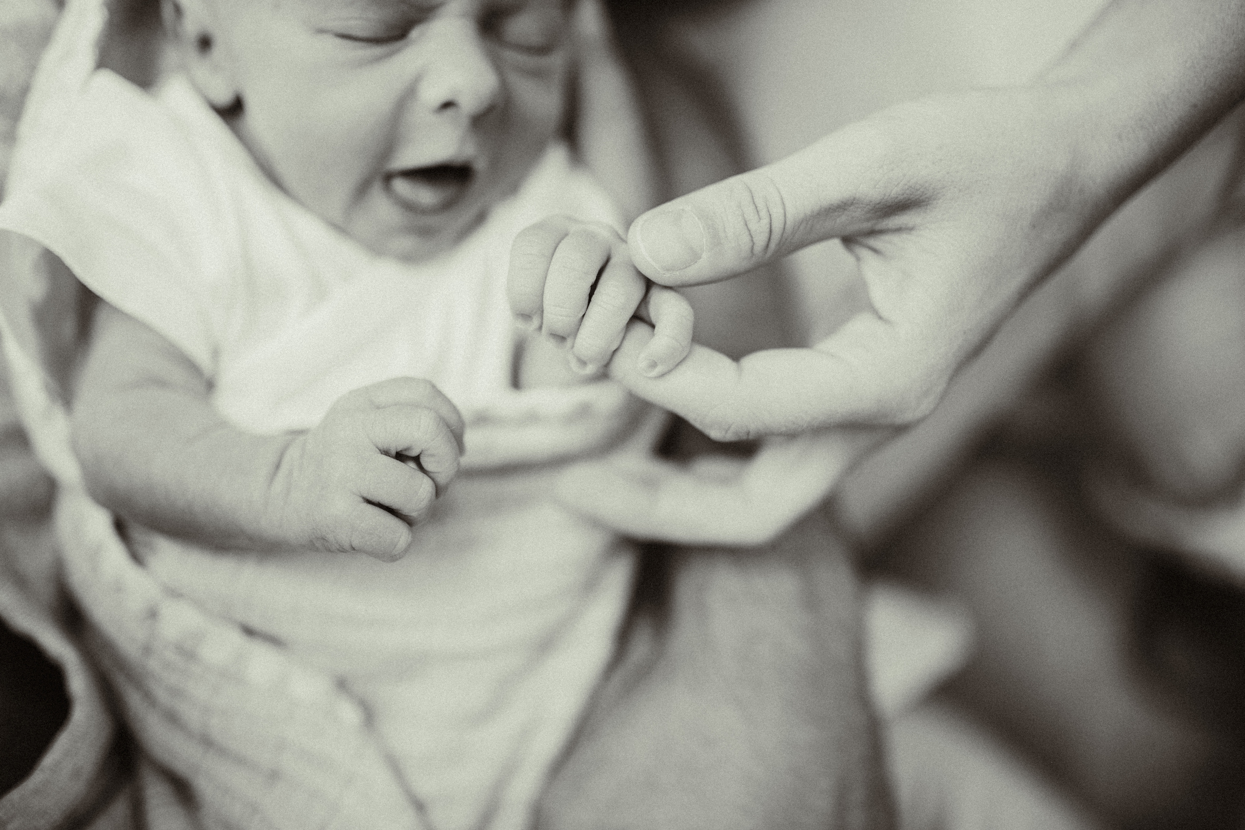 Thea&Luca + Matteo. Василиса Кёниг