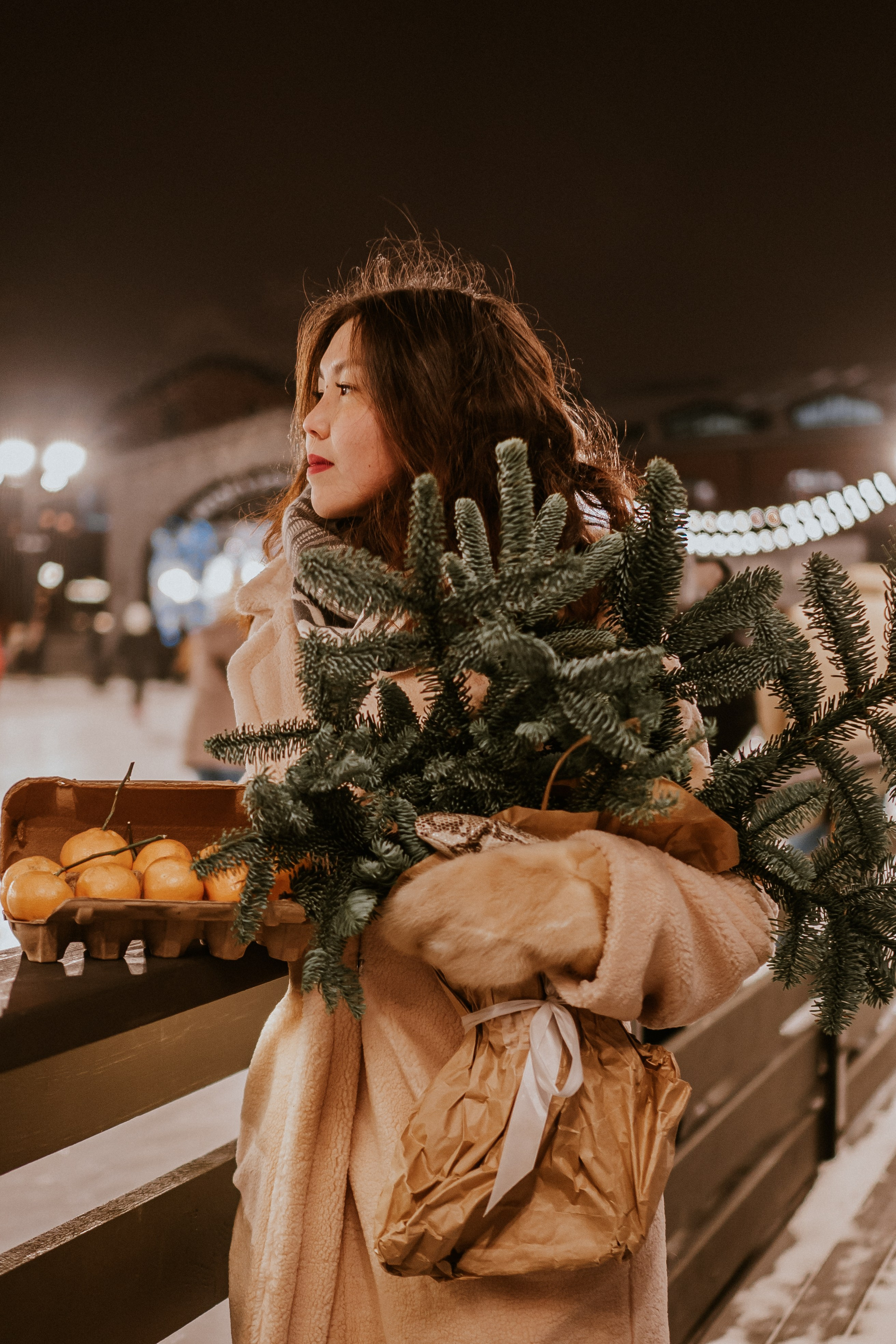 Зимняя сказка в Новой Голандии. Профессиональный фотограф, Санкт-Петербург — Виктория Богомолова