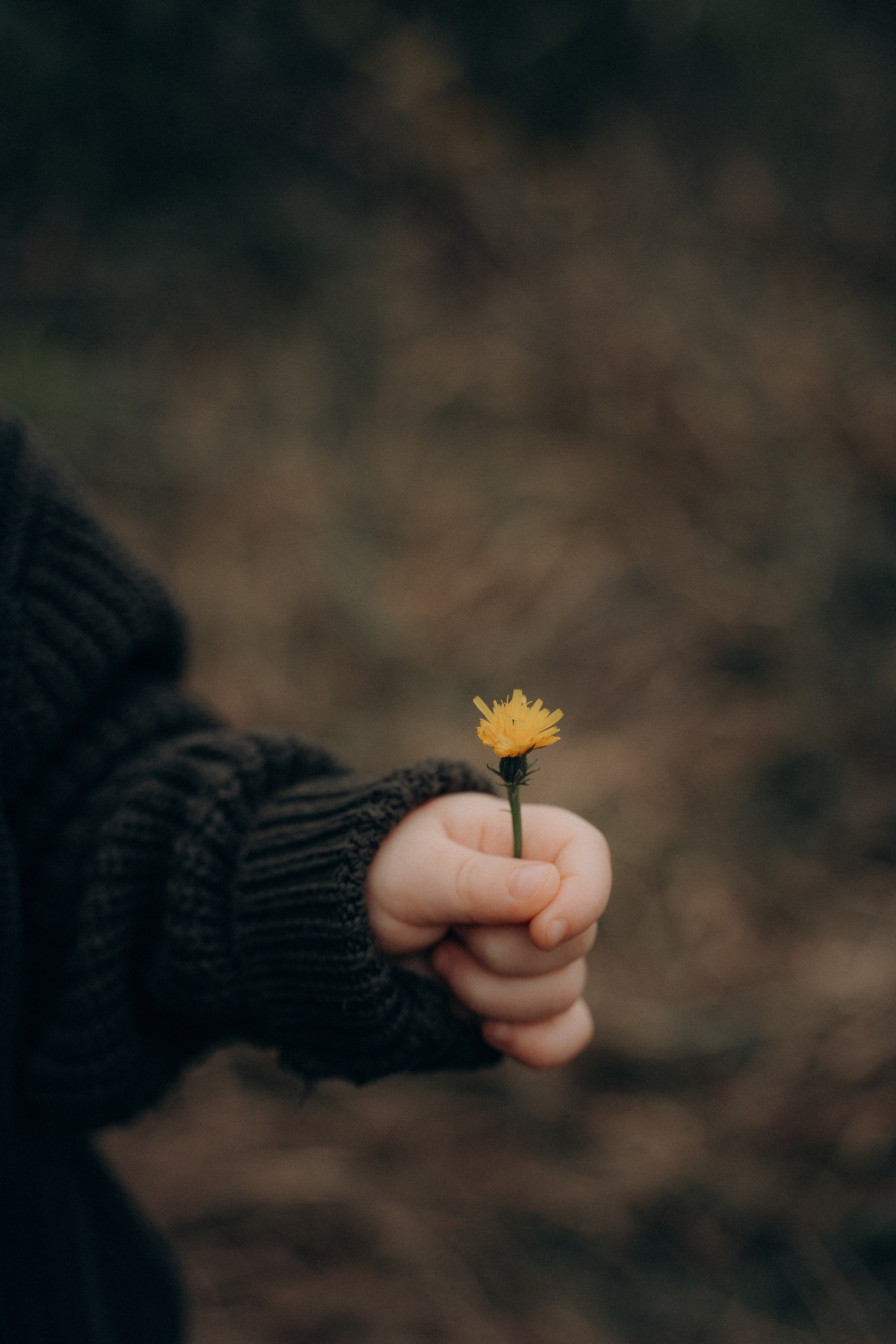 Рыжая девушка с ребенком. Свадебный и семейный фотограф Екатерина Коробова г. Моздок