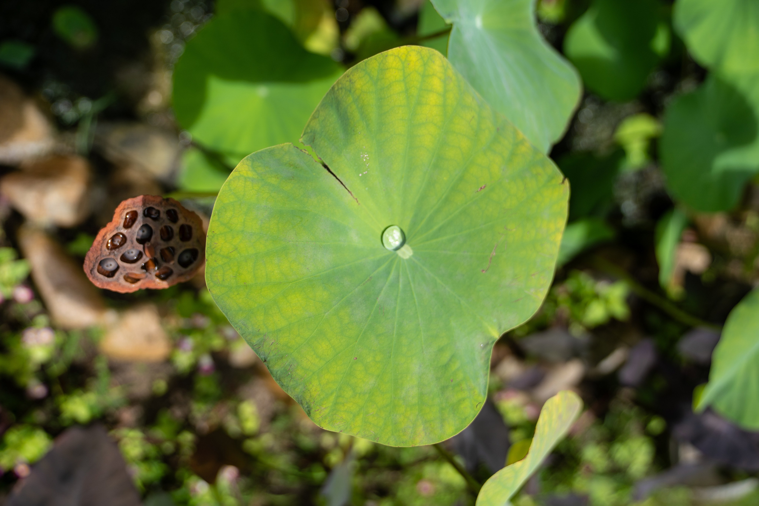 Светлана и Елизавета. Фотограф в Муйне и Фанхьете — Фотосессии для туристов, пар и семей