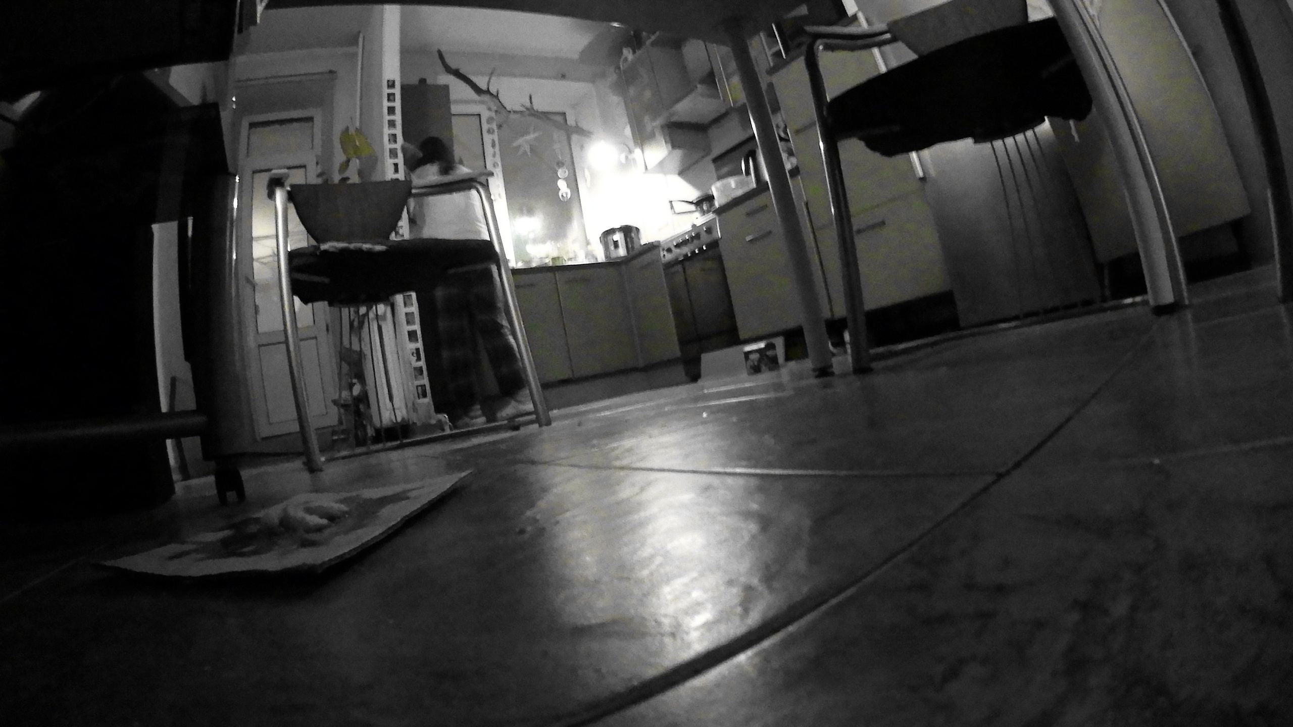 Гости. Fedor Kalinin