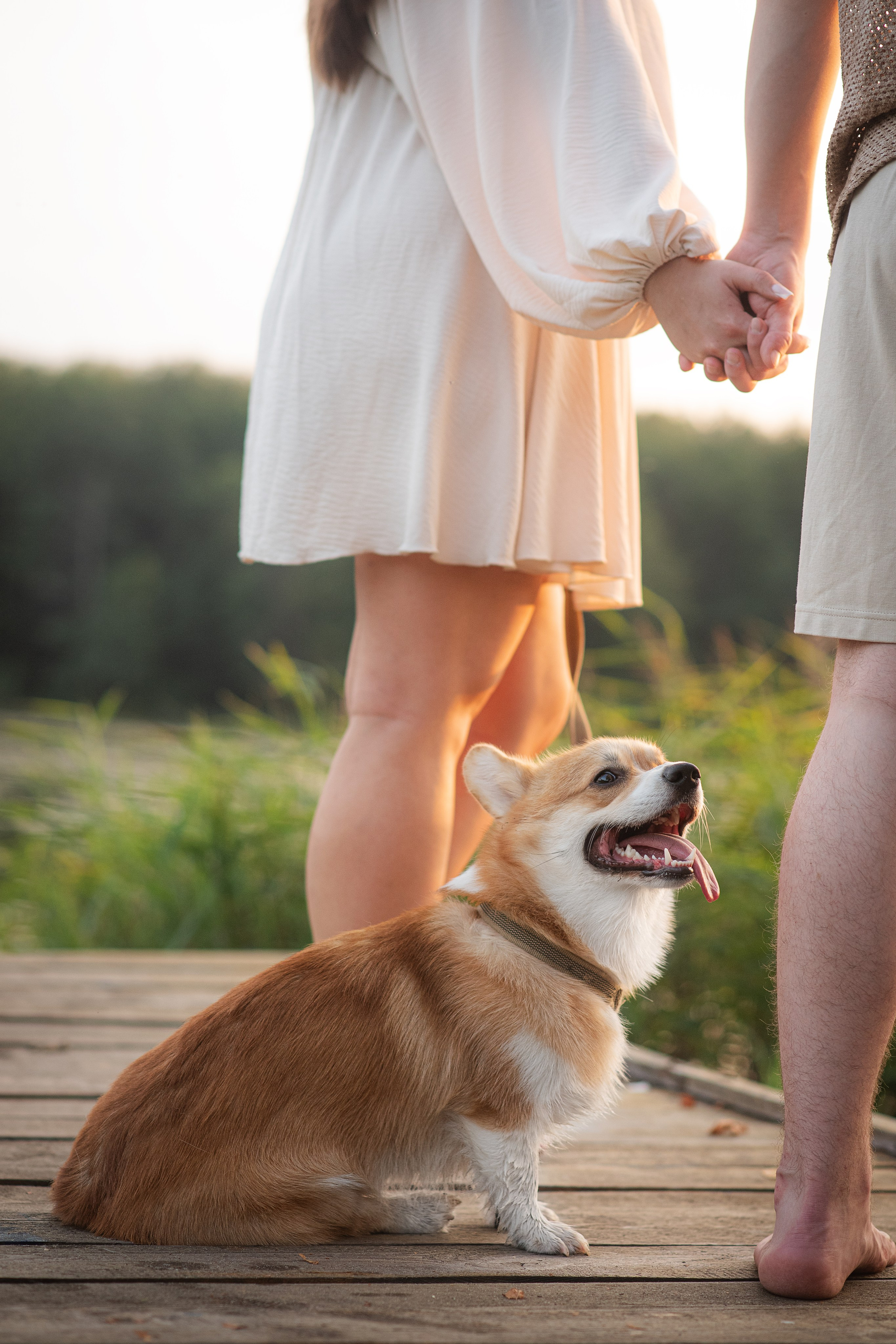Саша, Оксана и Барни — 25.08.2024. Фотограф — Анималист | Анна Абрамова