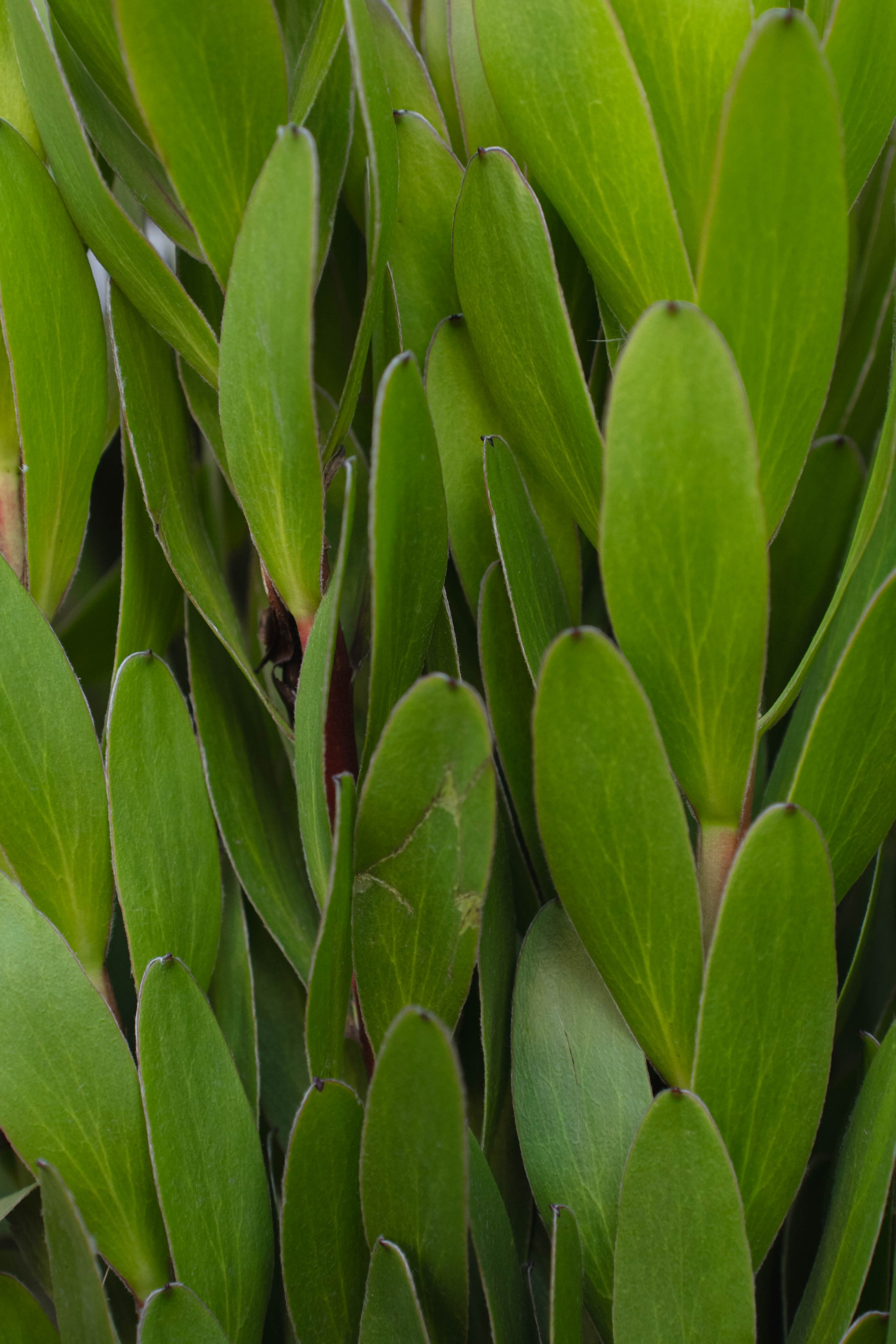 MIN SIN x Surf Coffee. Репортажный фотограф в Казани Виктория Трунова
