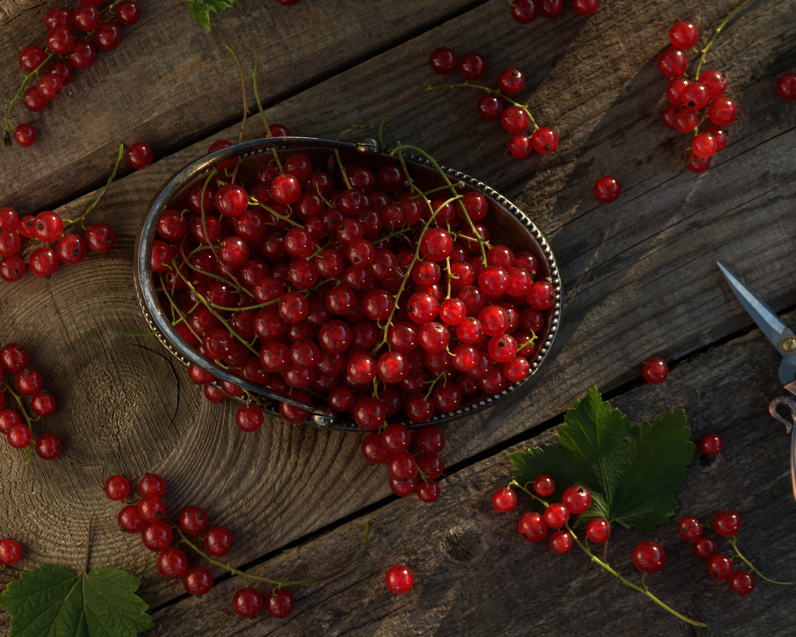 Еда. ПРУДМЕТНАЯ И ФУД СЪЕМКА